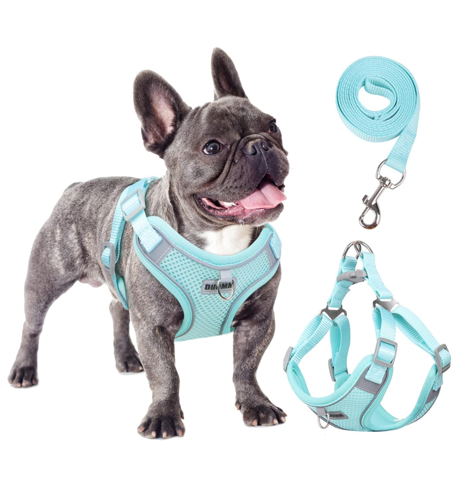 Rennaio No-Pull Dog Harness & Leash Set - Adjustable Ultra-Breathable Padded Chest Harness for Small & Medium Dogs - Cyan XL - Buy Online on GoSupps.com