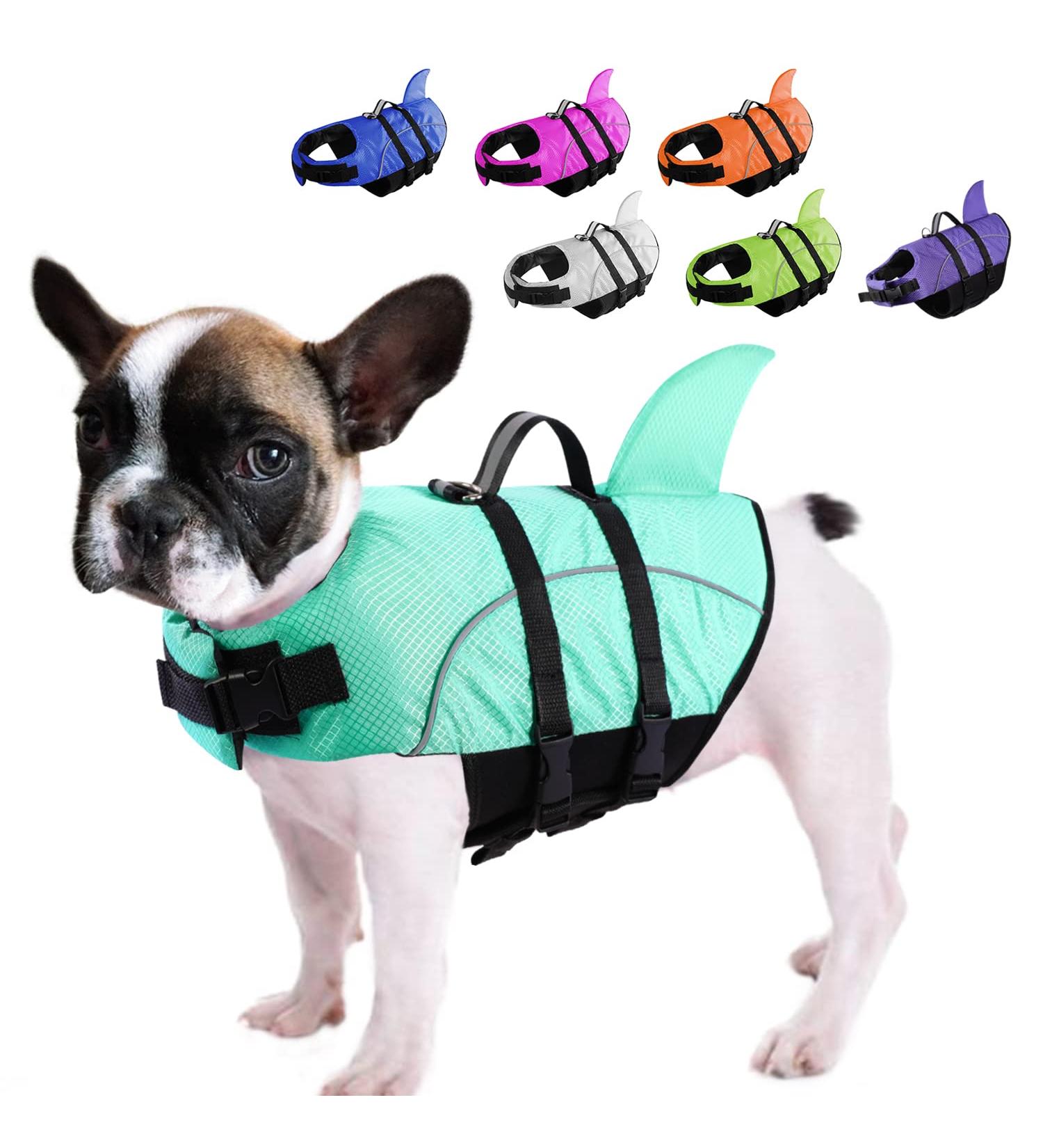 Queenmore Dogs Life Jacket - Ripstop Lifeguard for Dogs | Knuffelwuff Wallpasting Medium & Large - Safe Kayaking & Swimming with Lifting Handle (Light Blue M) - Buy Online on GoSupps.com