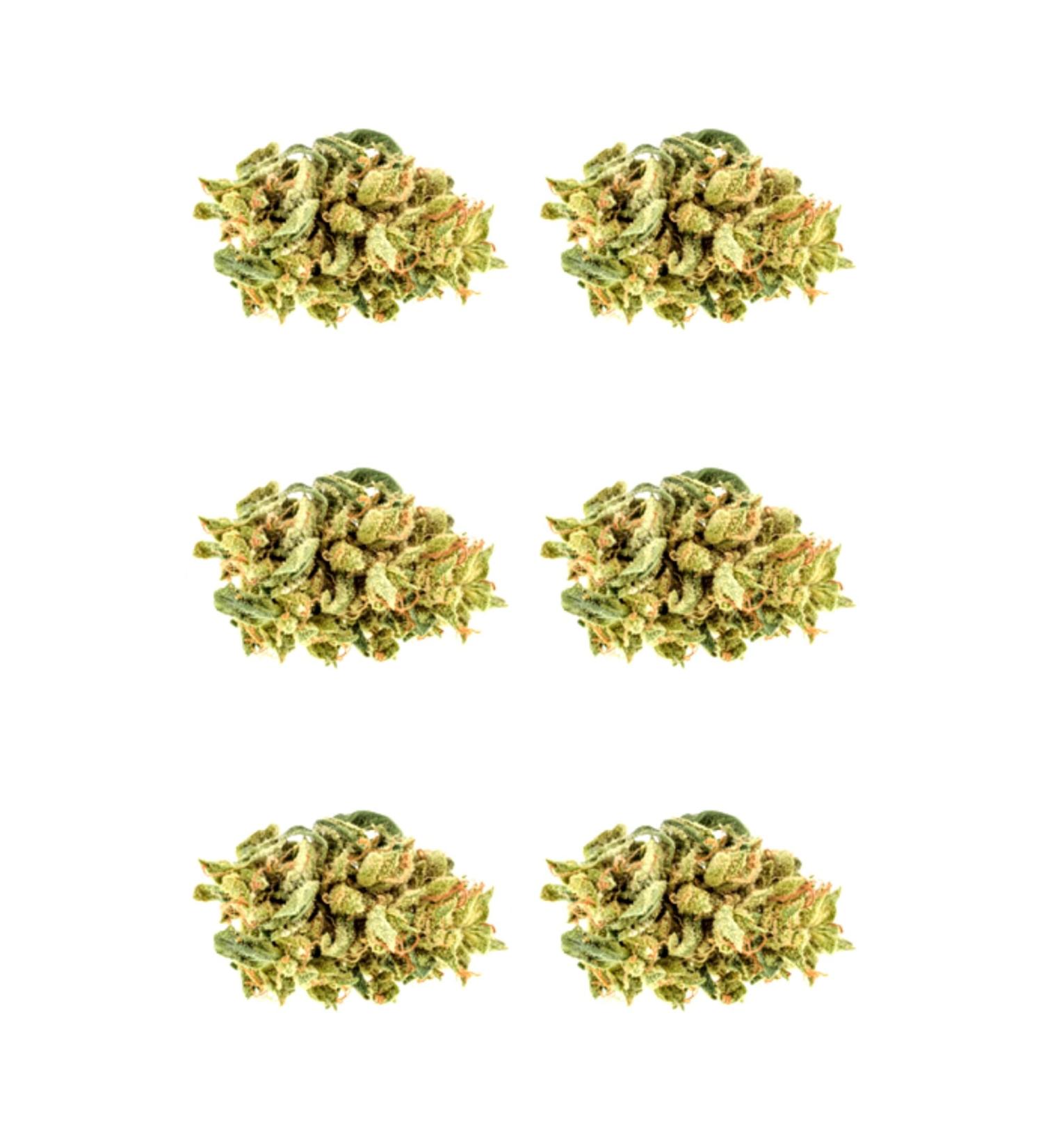 6 x Weed Bud Edible Wafer or Icing Cupcake Toppers Fun Stoner Themed Party Cake Decorations Perfect For Brownies Cookies Muffins & More! (Edible Wafer Card)