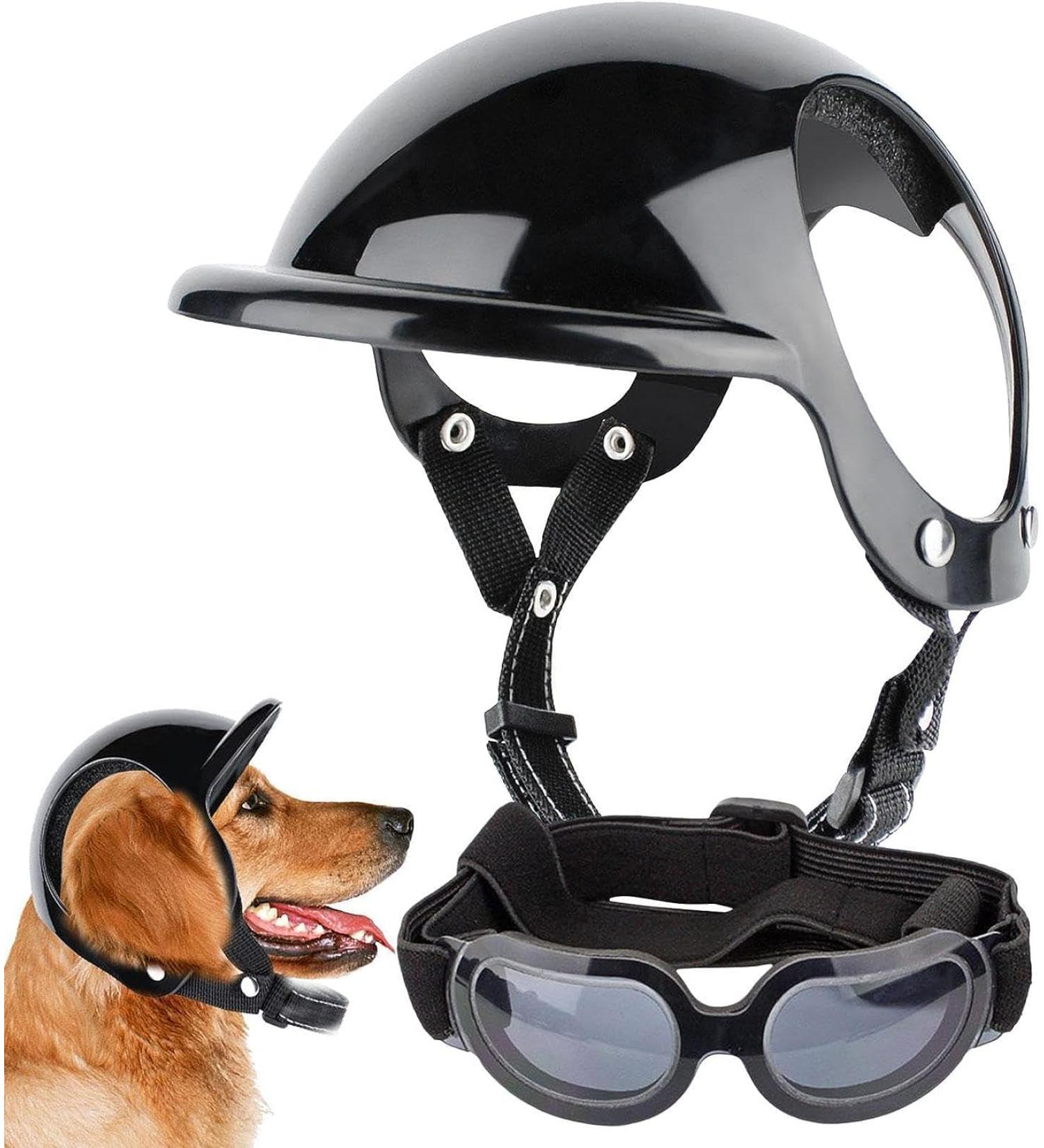 Dog Sunglasses - Dog Goggles | Pet Helmet Set Dog Safety Helmet Small Dog Helmet Goggles Blind Dog Helmet Dog Cat Accessories Windproof Snow Proof Eye Head Protection (M Helmet + Glasses) M Helmet + Glasses - Buy Online on GoSupps.com