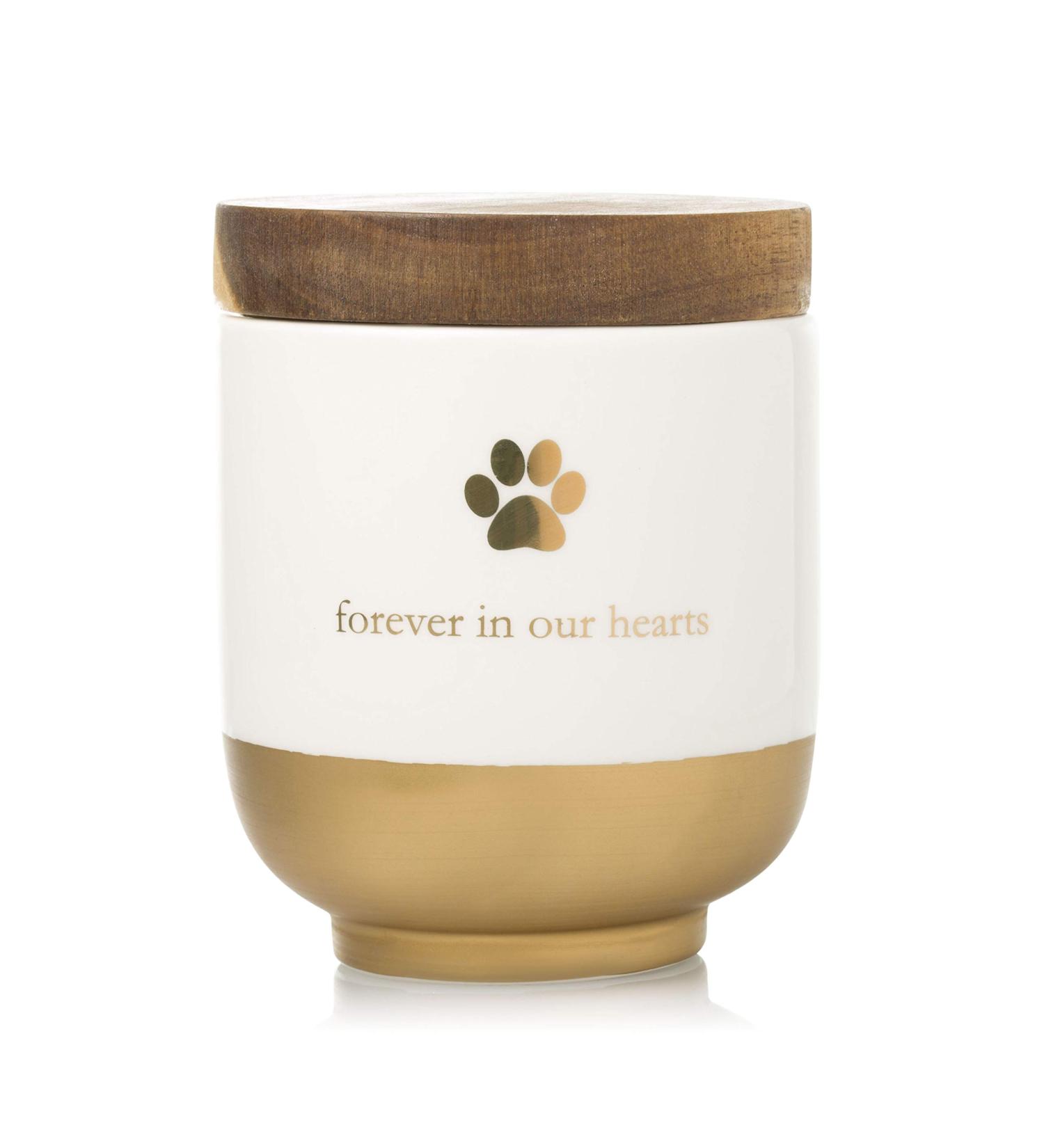 Pearhead Pet Ceramic Forever in Our Hearts Urn Gold - Memorial Pet Urn - Buy Online on GoSupps.com