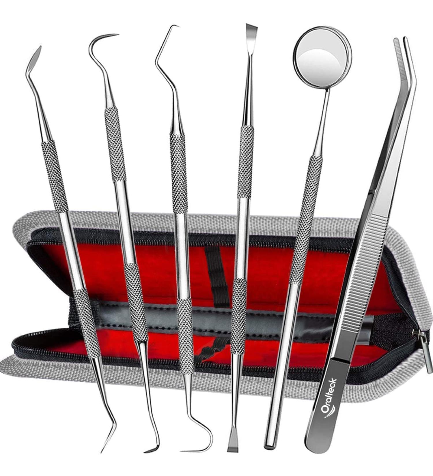Premium Dental Care Instrument Set - 6 Stainless Steel Tools for Plaque & Tartar Removal - Ideal for Adults Children & Pets - Includes Case - Buy Online on GoSupps.com