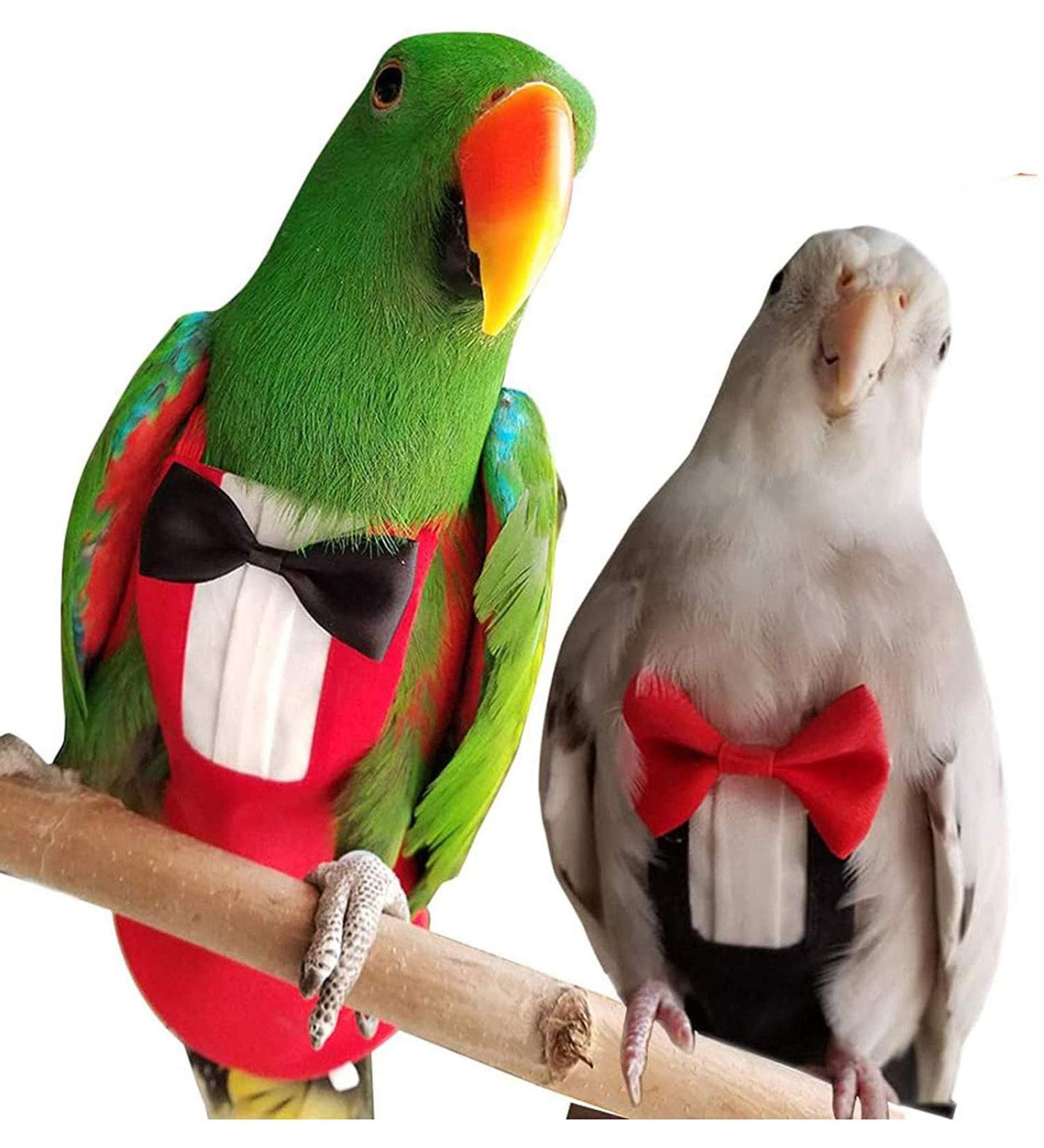 Budgies clothes top