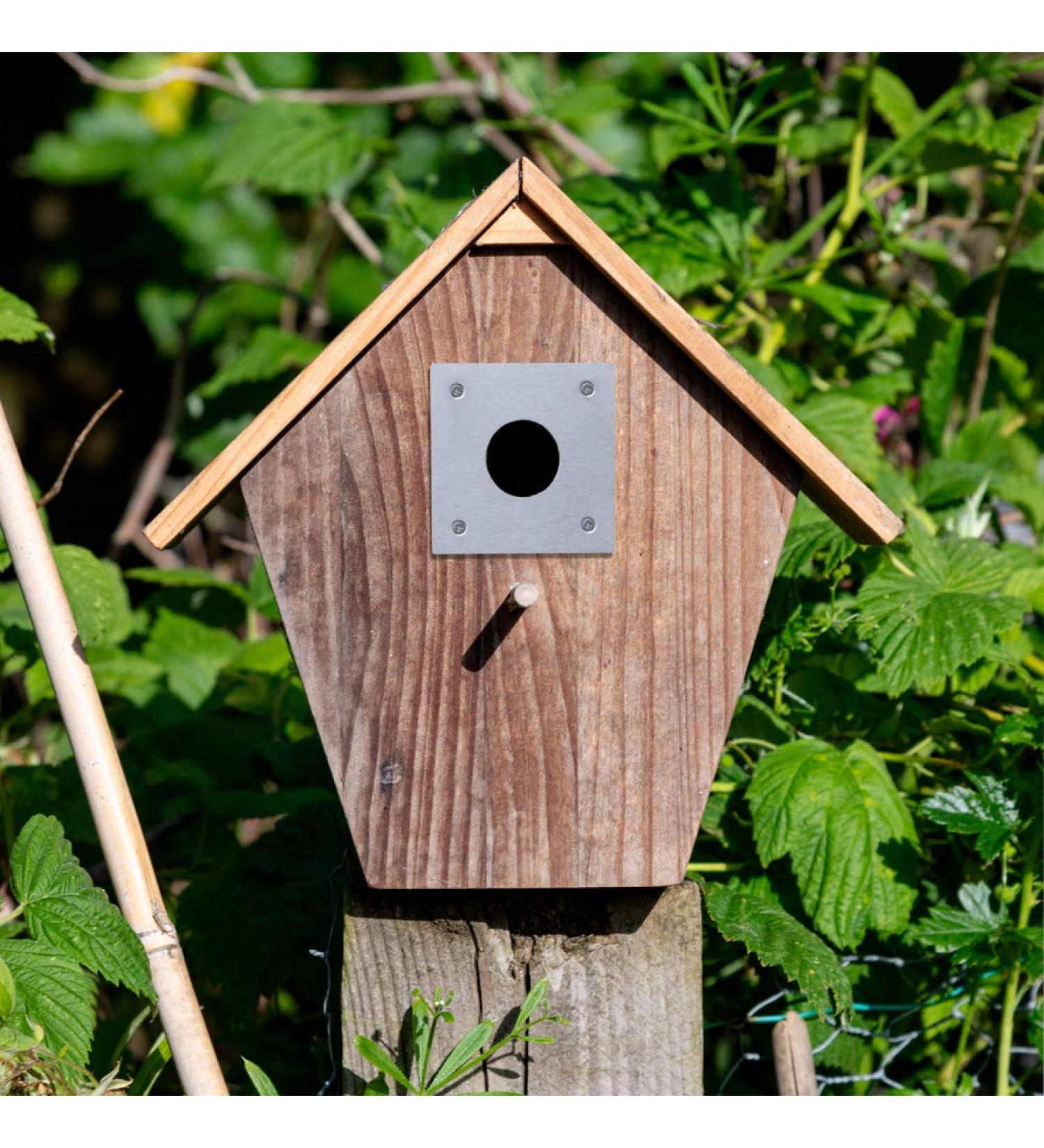 Simply Hardware Satin Stainless Steel Bird Box Protector/Nest Box Protection Plate (25mm - 32mm Holes) - 70 x 70mm - 25mm Hole