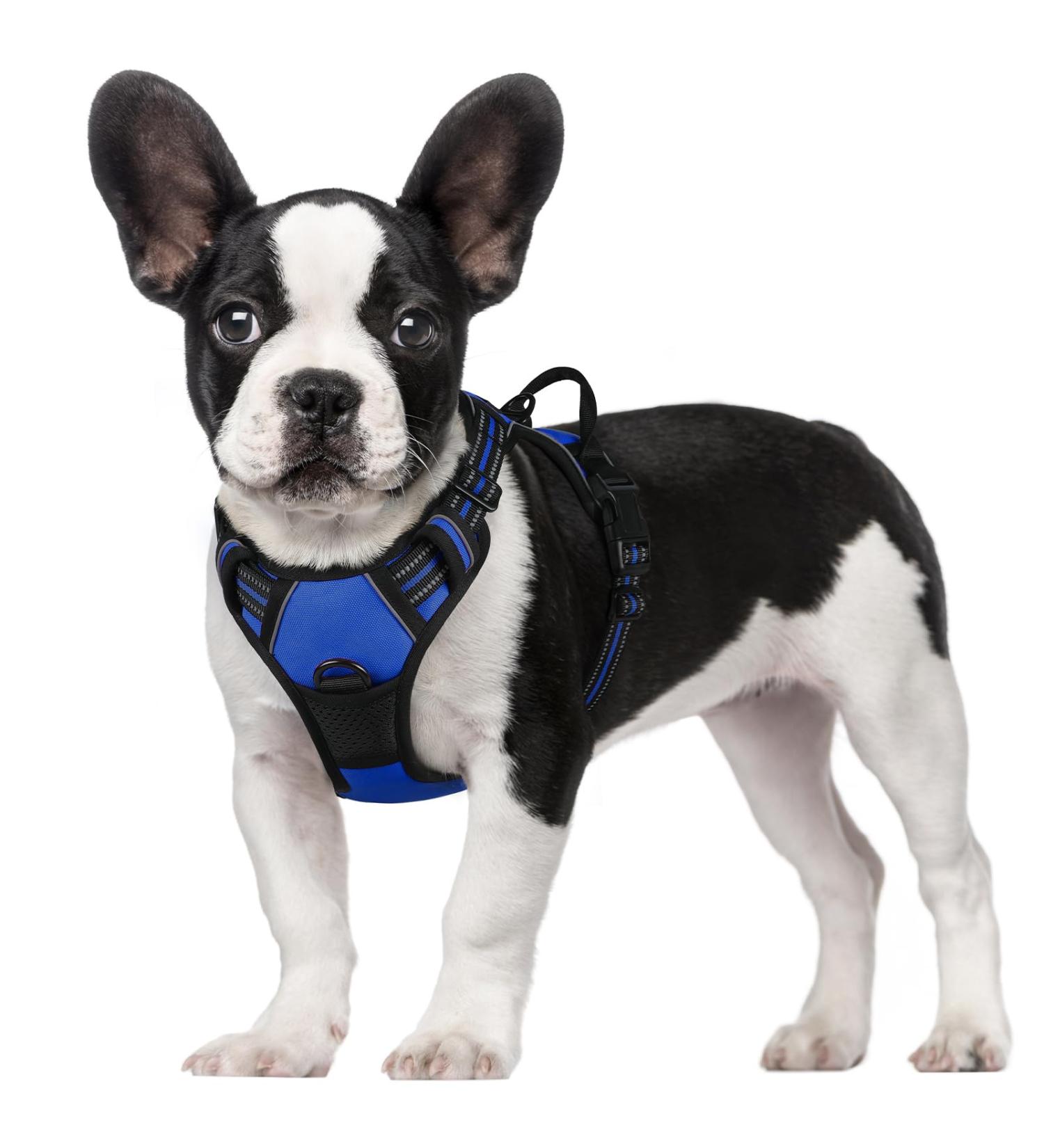 Rabbitgoo No-Pull Dog Harness for Medium Dogs - Adjustable & Breathable with Reflex Stripes - Safe Control Guidance - 1 Pack Blue - Buy Online on GoSupps.com