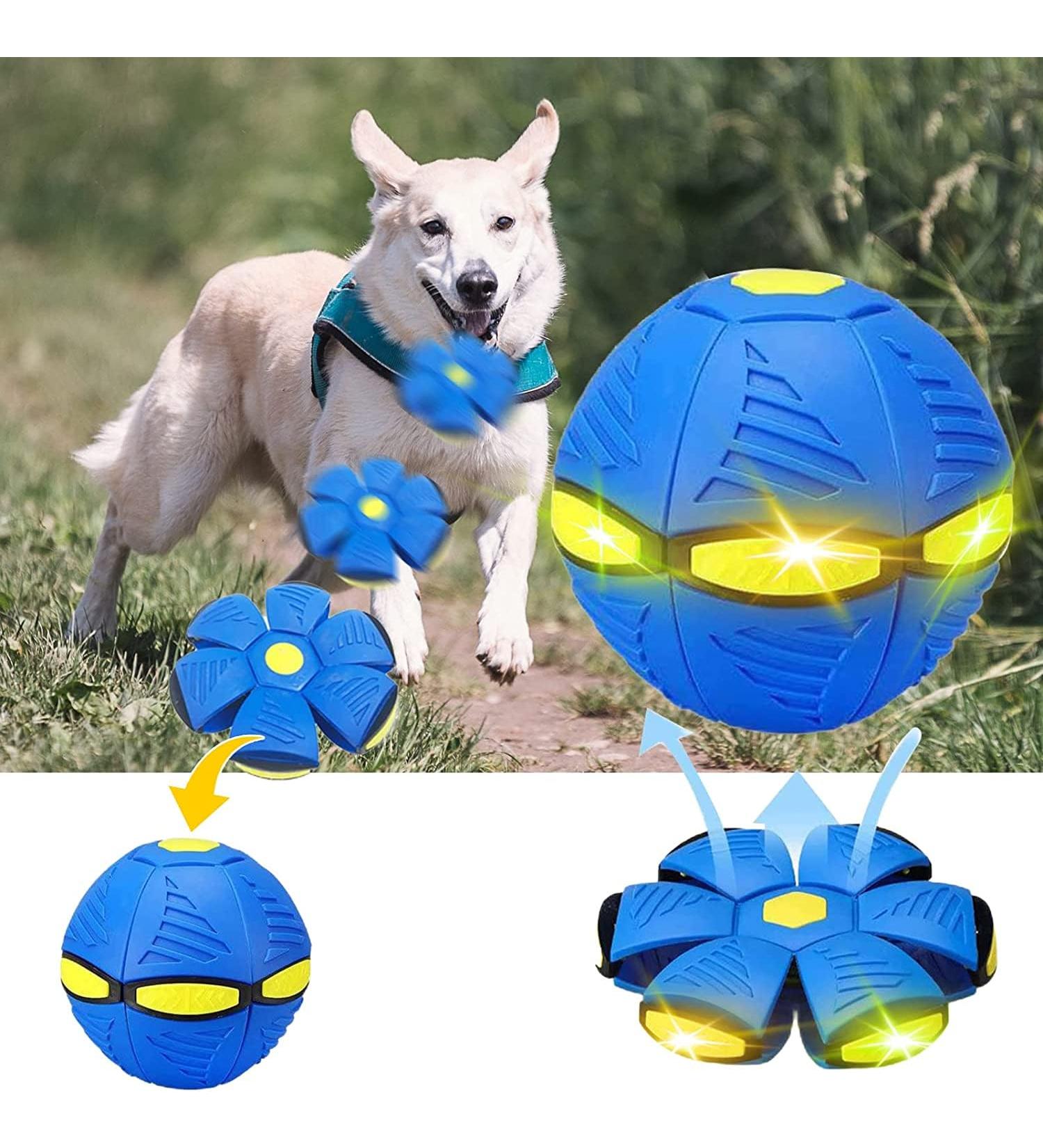Shop Flying Frisbee Balls & Saucer Toys for Dogs - LED Light-Up Pet Toys for Ultimate Fun! - Buy Online on GoSupps.com