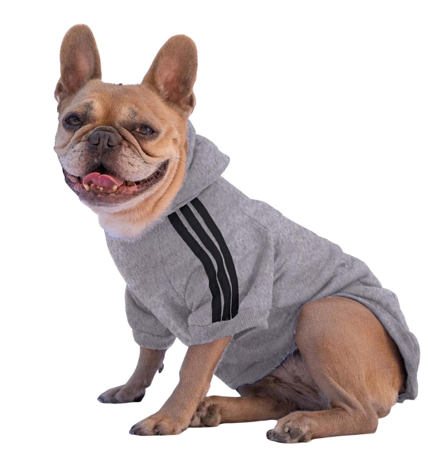 Ducomi 2XL Gray Dog Sweater with Hood | Warm Soft & Stylish Clothing for All Breeds & Sizes - Buy Online on GoSupps.com