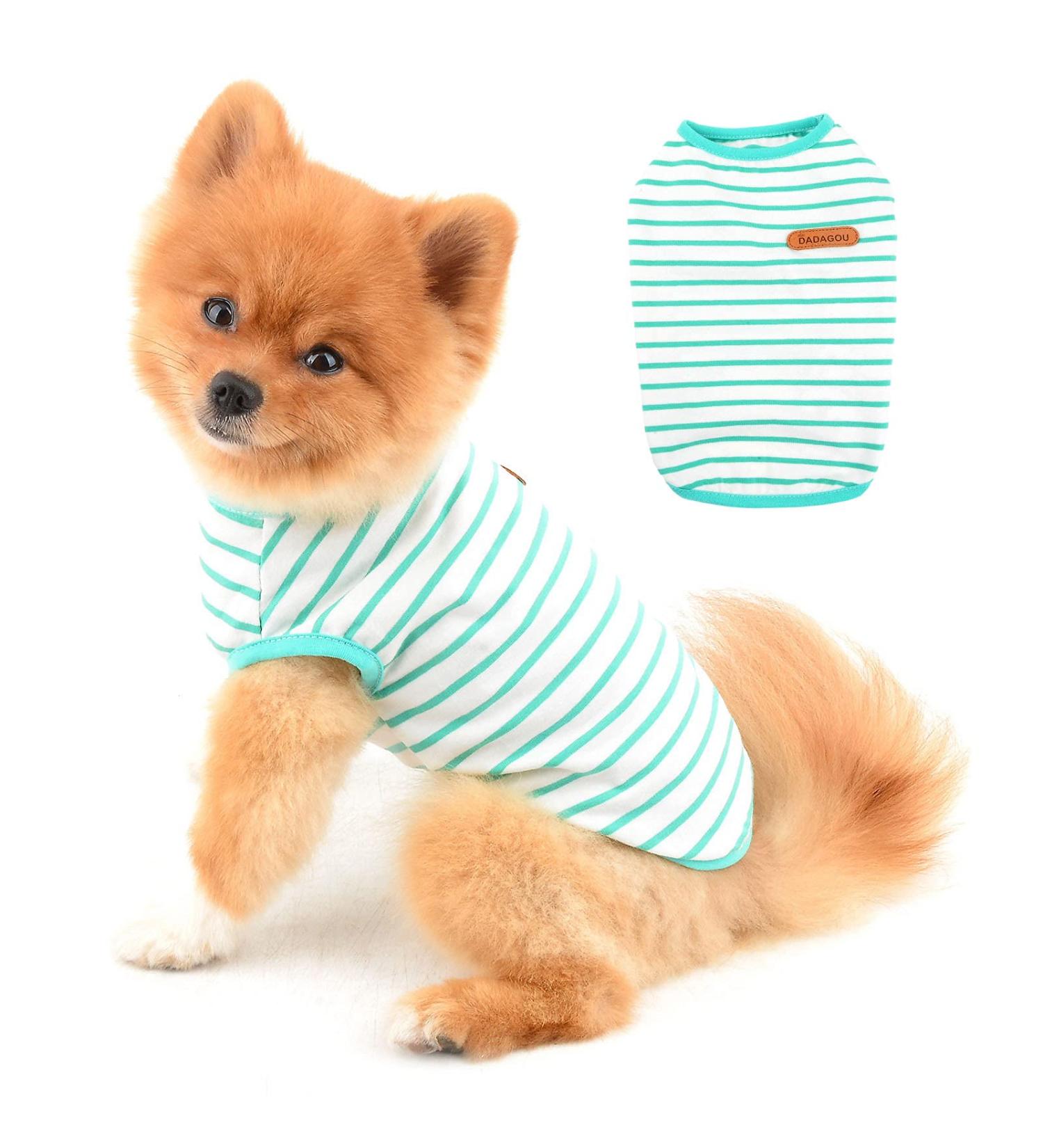 Buy Paidful British Little Dog Shirt - Soft Cotton Striped Cat Vest for Puppies & Small Breeds | Summer Pet T-Shirt for Chihuahua & Yorkie | L 30cm Green - Buy Online on GoSupps.com