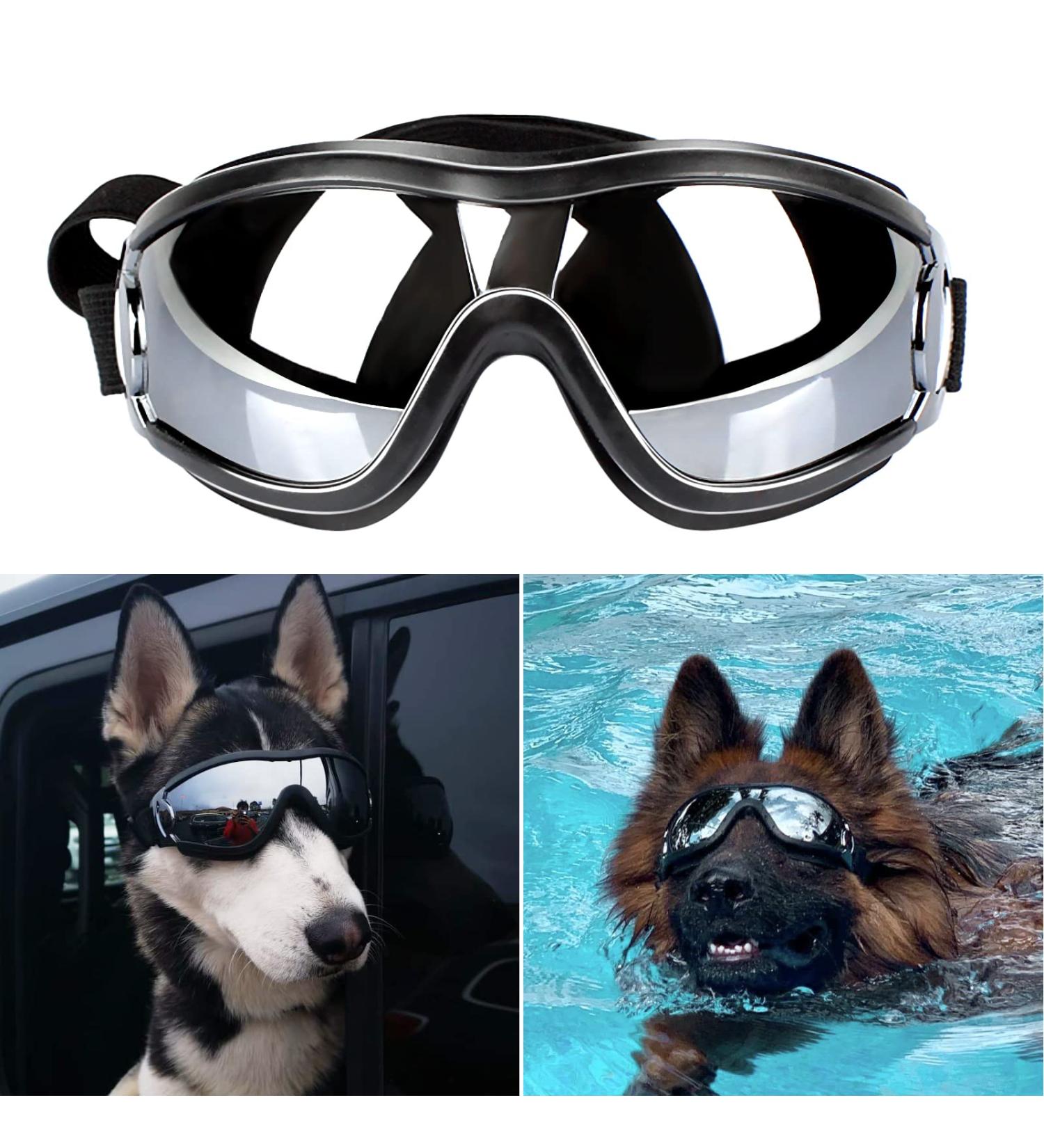 PEDOMUS Dog Sunglasses - Adjustable Strap for Travel & Skiing | Anti-Fog Dog Snow Goggles for Medium to Large Dogs - Black - Buy Online on GoSupps.com