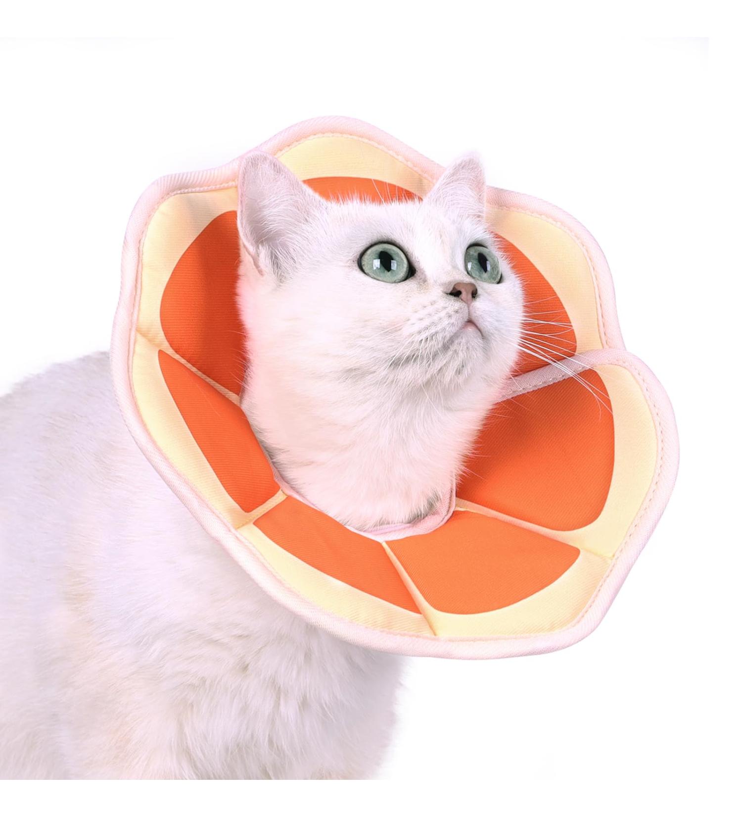Supet Rewriter Cat Adjustable Hen Collar - Post-Surgery Recovery Cone (Grapefruit) | Comfortable Healing Solution for Cats (Neck: 14-23cm) - Buy Online on GoSupps.com