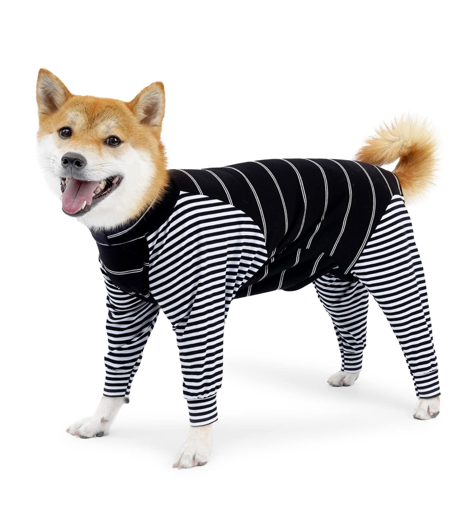 Buy Surgical Recovery Suit for Dogs - Breathable Postoperative Pajamas Anti-Lick Solution Size 3XL - Black (1 Pack) - Buy Online on GoSupps.com