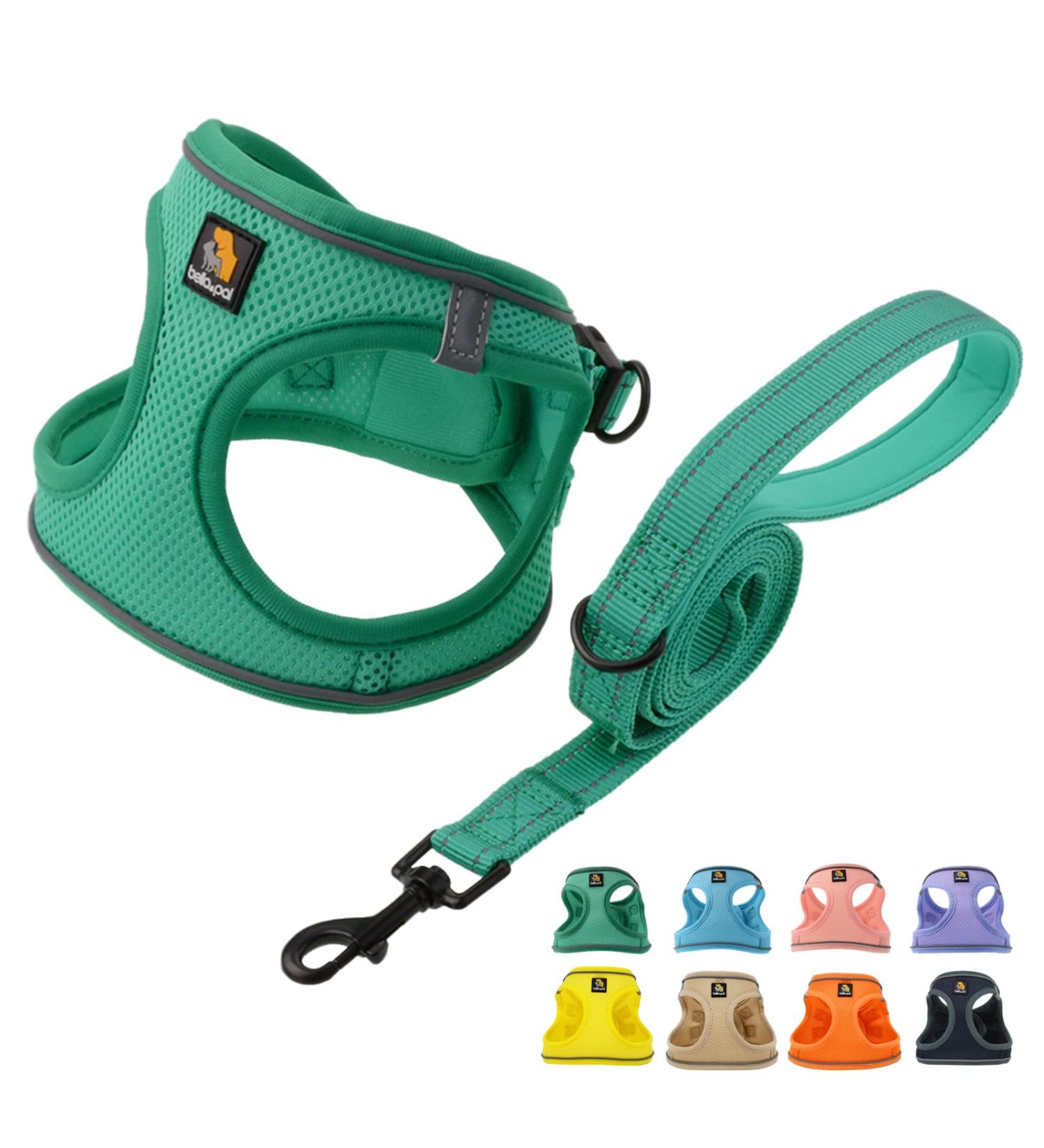Buy Bella & Pal Dog Harness for Small Dogs - Reflective Breathable and Comfortable | Includes Leash & Step-In Dishes | Perfect for Puppies and Cats - Emerald (42-50cm) - Buy Online on GoSupps.com