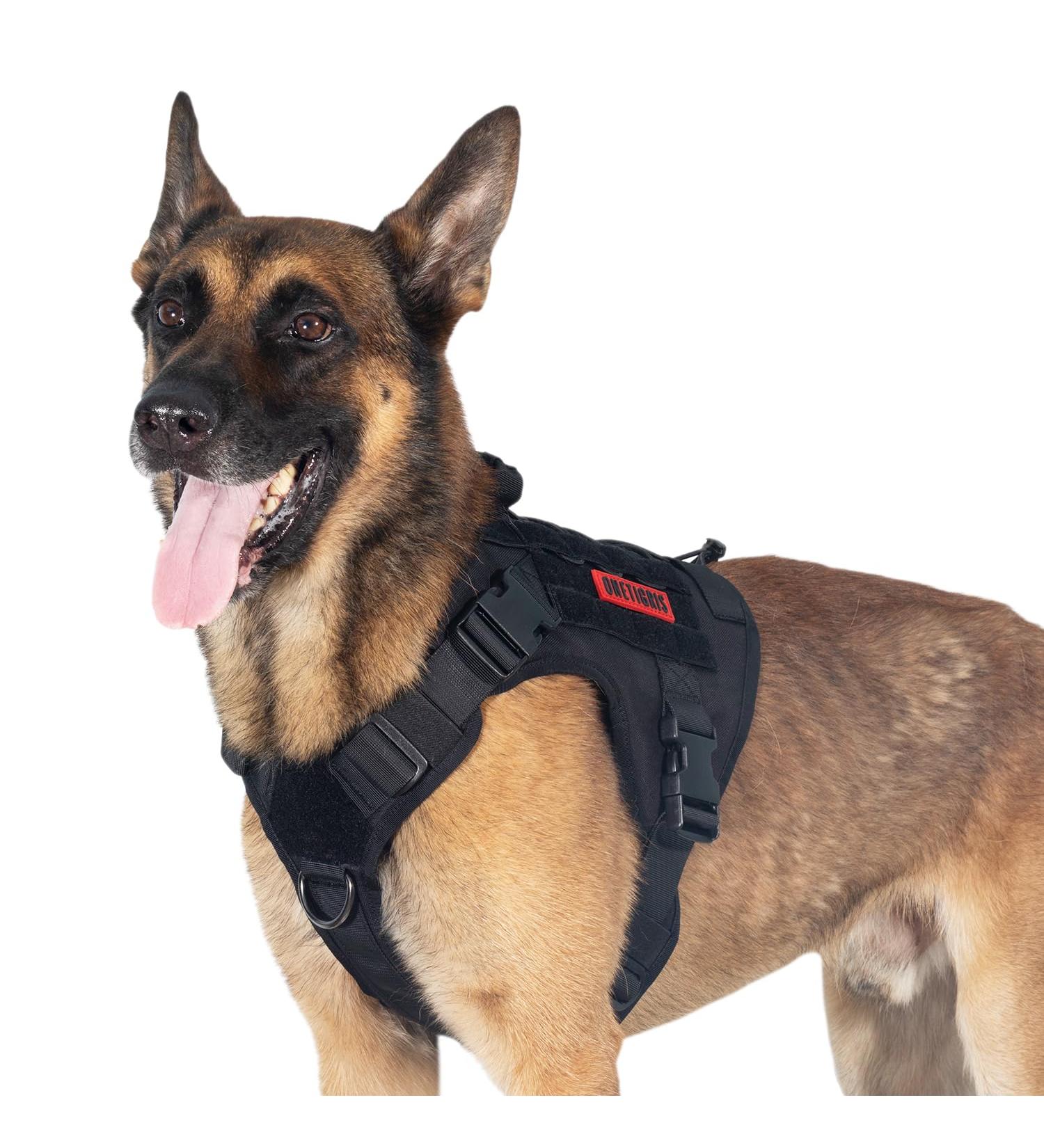 OneTigris Tactical Dog Vest - Service Dog Harness MOLLE Training Harness (1000D Nylon Large Black) - Durable & Customizable - Buy Online on GoSupps.com