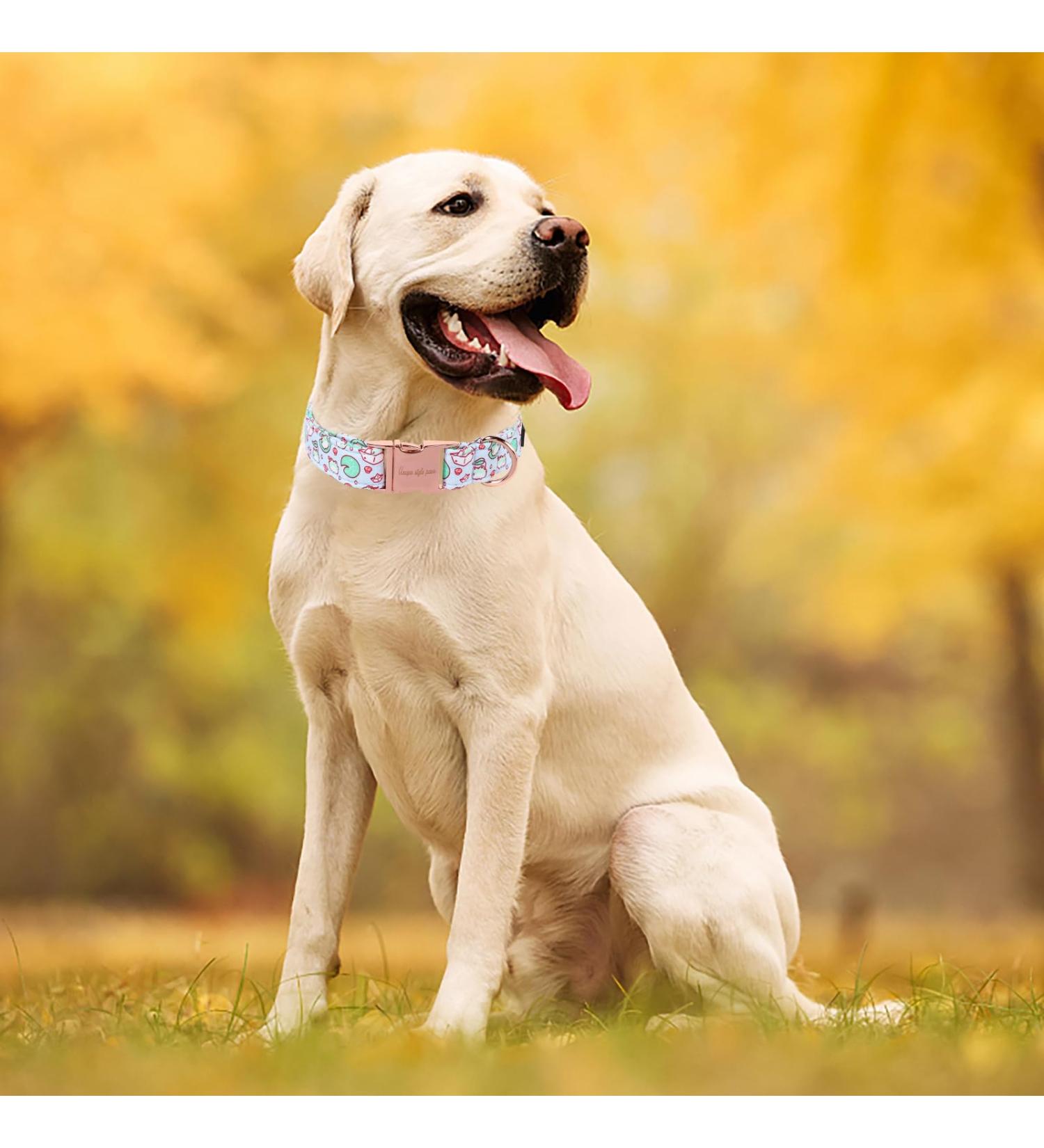 Unique Style Paws Summer Dog Collars - Lotus Frosch Cabbage & Linen Wide Training Collars for Small Medium & Large Dogs - Buy Online on GoSupps.com