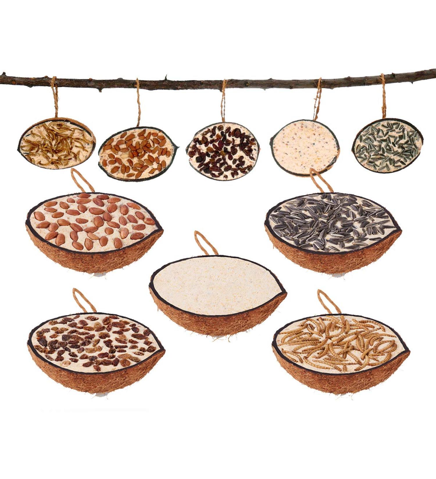 10 Filled Half Coconuts - Year-Round Wild Bird Food in 5 Varieties | International Shipping Available - Buy Online on GoSupps.com