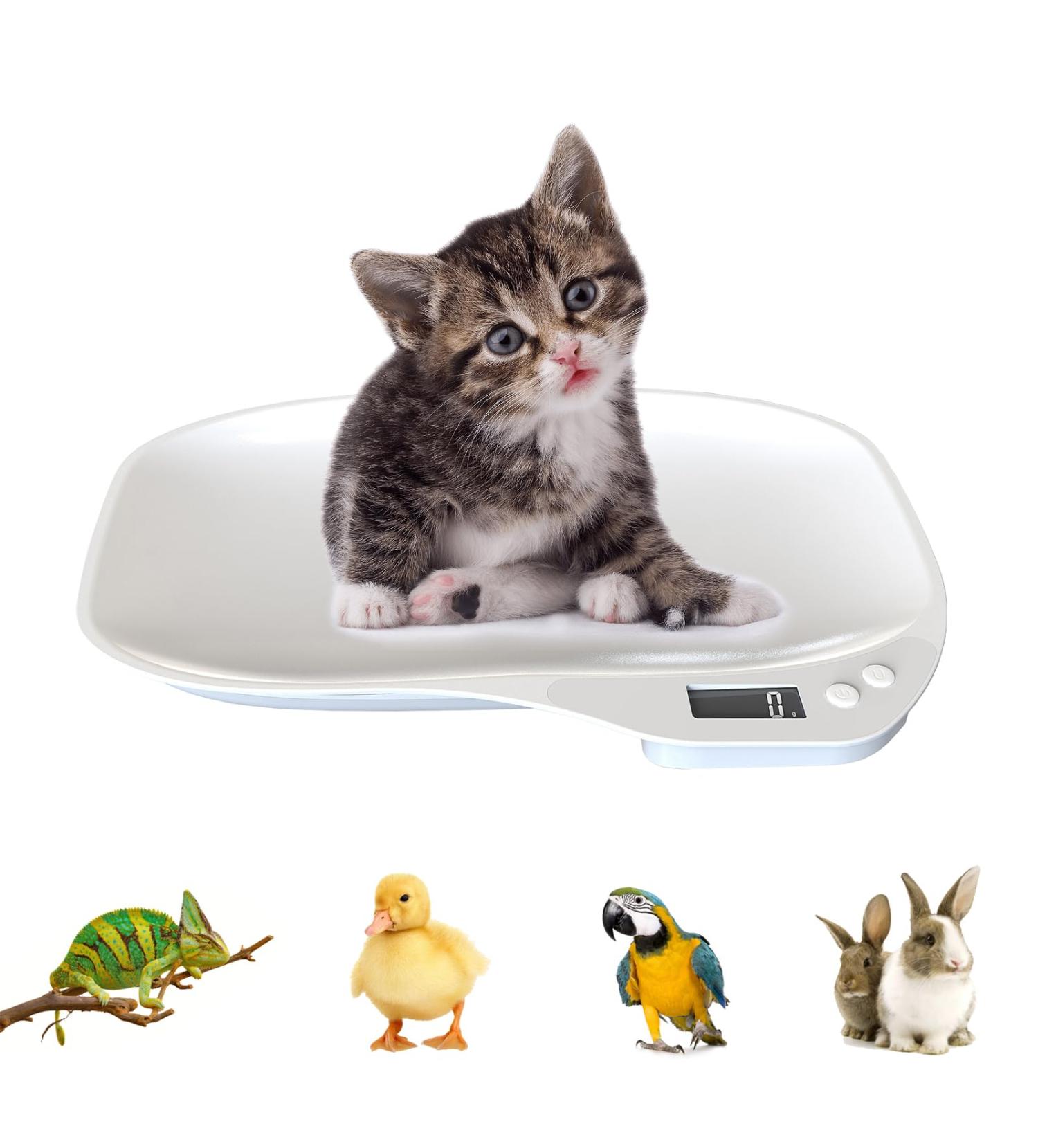 Pet Scale Digital Small Animal Weight Scale Portable LCD Electronic Weighing Scale(Max. 33 lbs) Multifunction Kitchen Scale for Food/Puppy/Hamster/Kitten/Hamster/Whelping - Buy Online on GoSupps.com