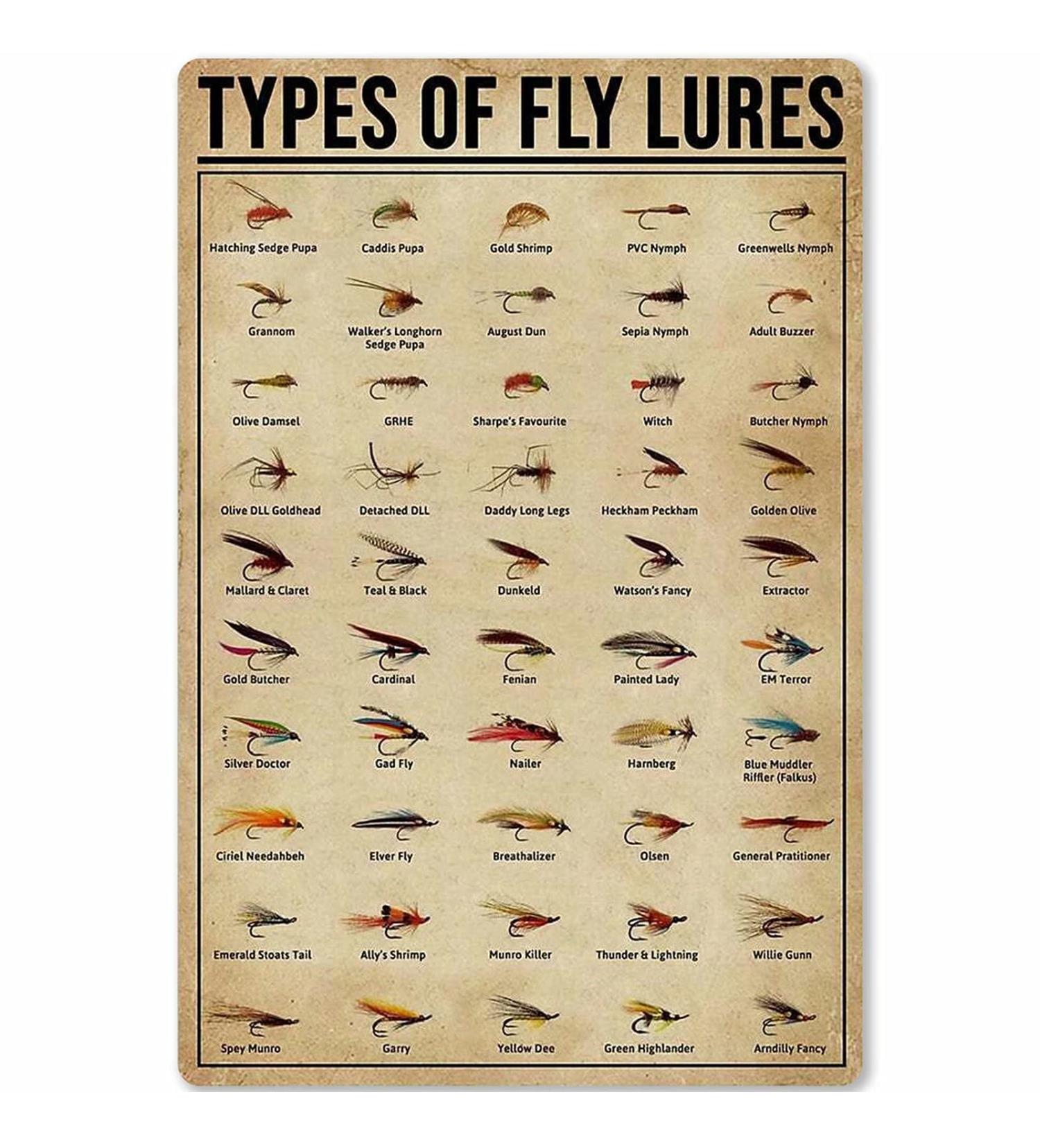JIUFOTK Types Of Fly Lures Posters Metal Signs Fishing Knowledge Popular Science Guide Room Club Farm Wall Decor 8x12 Inches 8*12 Incn Types Of Fly Lures - Buy Online on GoSupps.com