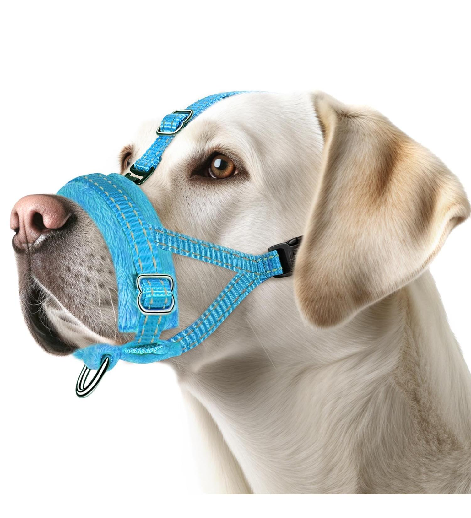 Adjustable Reflective Nylon Muzzle for Small Dogs - Prevent Biting Barking & Chewing | Eyin Blue Muzzle (Size S) - Comfortable & Breathable Design - Buy Online on GoSupps.com