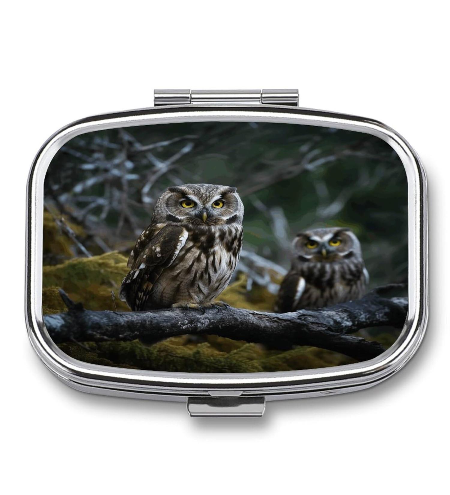 Pill Box with Wild Owl Birds Print | 2 Compartment Decorative Metal Pill Organizer for Pocket or Purse - Buy Online on GoSupps.com