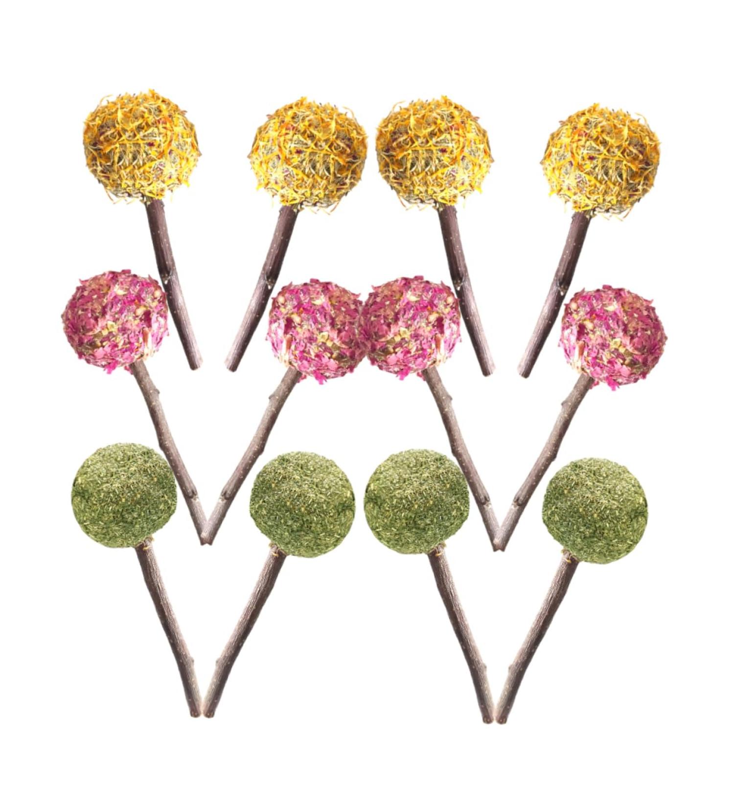 NOLITOY 12pcs Pet Rabbit Snacks Chinchilla Treats Teeth Grinding Sticks Pet Chewing Playthings Animal Petal - Buy Online on GoSupps.com