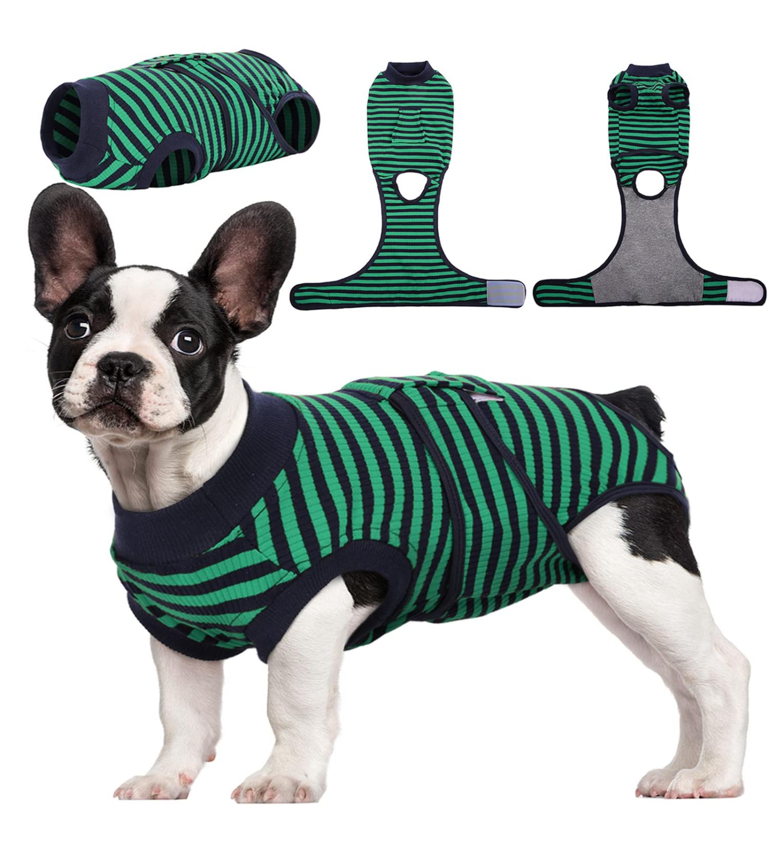 Kuoser Dog Recovery Suit - Breathable Anti-Licking Body for Male & Female Dogs Post-Surgery Green XS (1 Pack) - Leak Protection for Wound Care - Buy Online on GoSupps.com