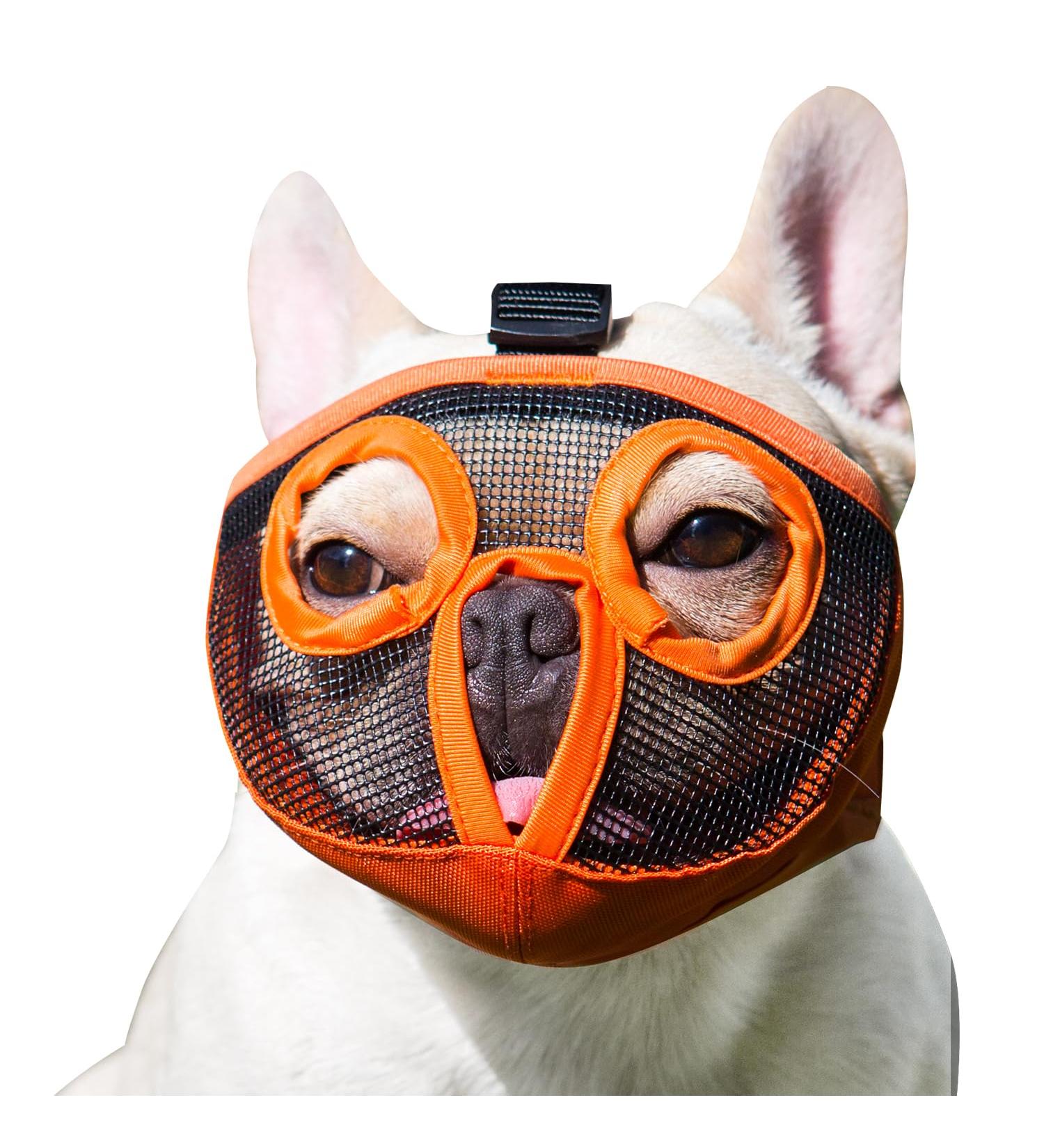 Jyhy Adjustable Muzzle for Flat-Nosed Dogs & Cats | Breathable Design for Bulldogs Pugs & More - Orange (28-43cm) - Buy Online on GoSupps.com