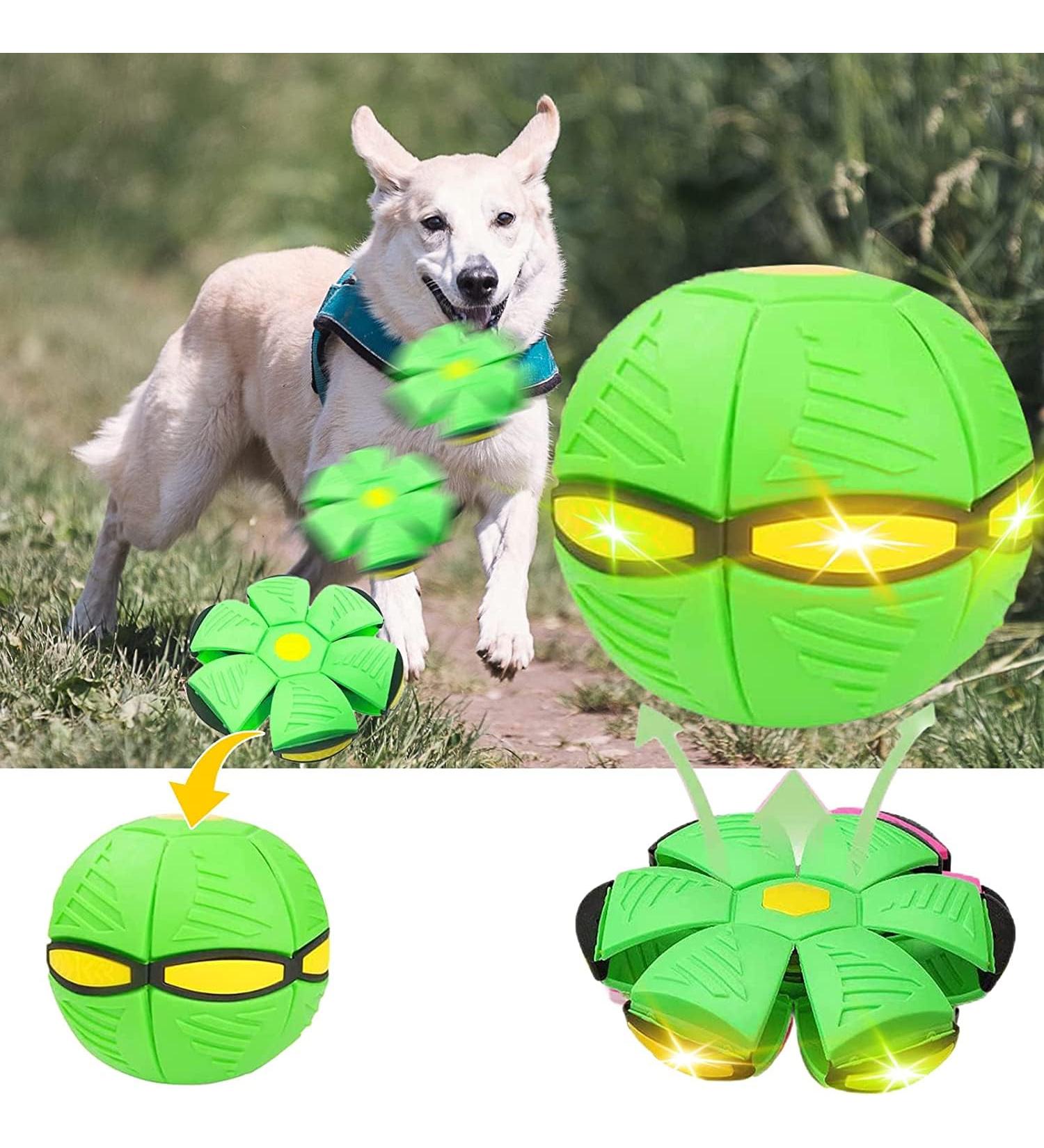 Flying Frisbee Balls for Dogs - Pet Toys with Three Lights | Best Dog Flying Saucer Toys for Interactive Play - Buy Online on GoSupps.com