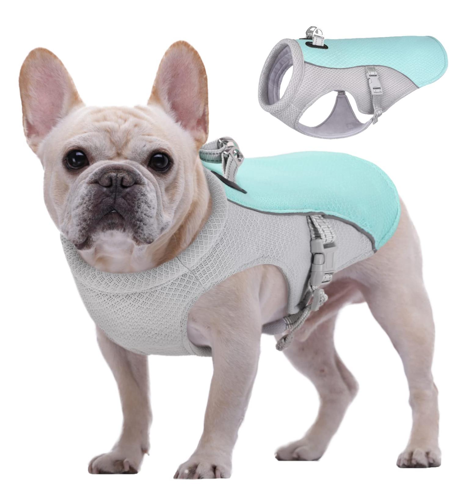 Kuoser Cool Vest for Dogs - Breathable Cooling Coat for Hot Summer Days | Reflective Safety Jacket for Small & Medium Dogs - Blue M - Buy Online on GoSupps.com