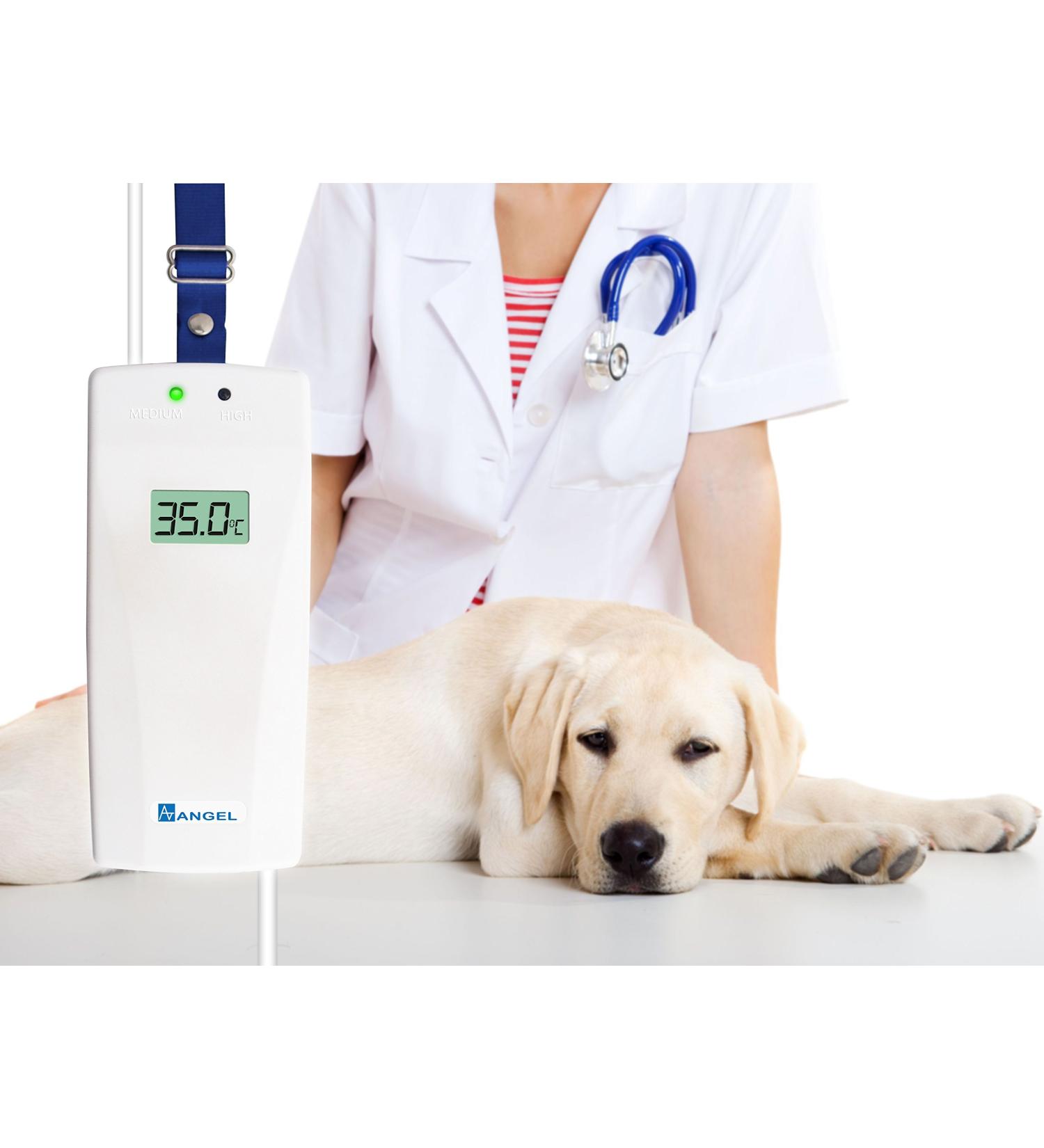 Veterinary Fluid Warmer with Cage Mounting Clamp Mount Vet IV Infusion - Buy Online on GoSupps.com