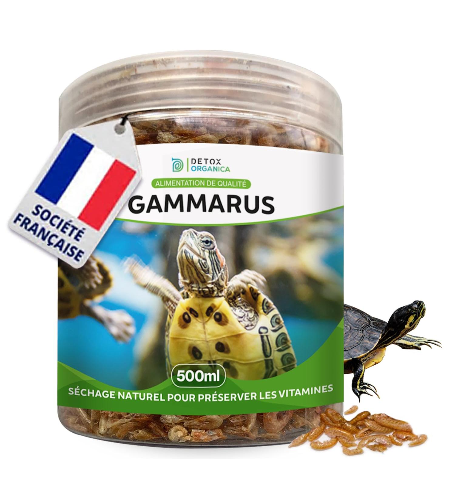 Aquatic Turtle Food 500 ml Gammarus 100% 100% Natural Food Shrimp for Water Turtles - Rich in Calcium Mineral Salts and F - Buy Online on GoSupps.com
