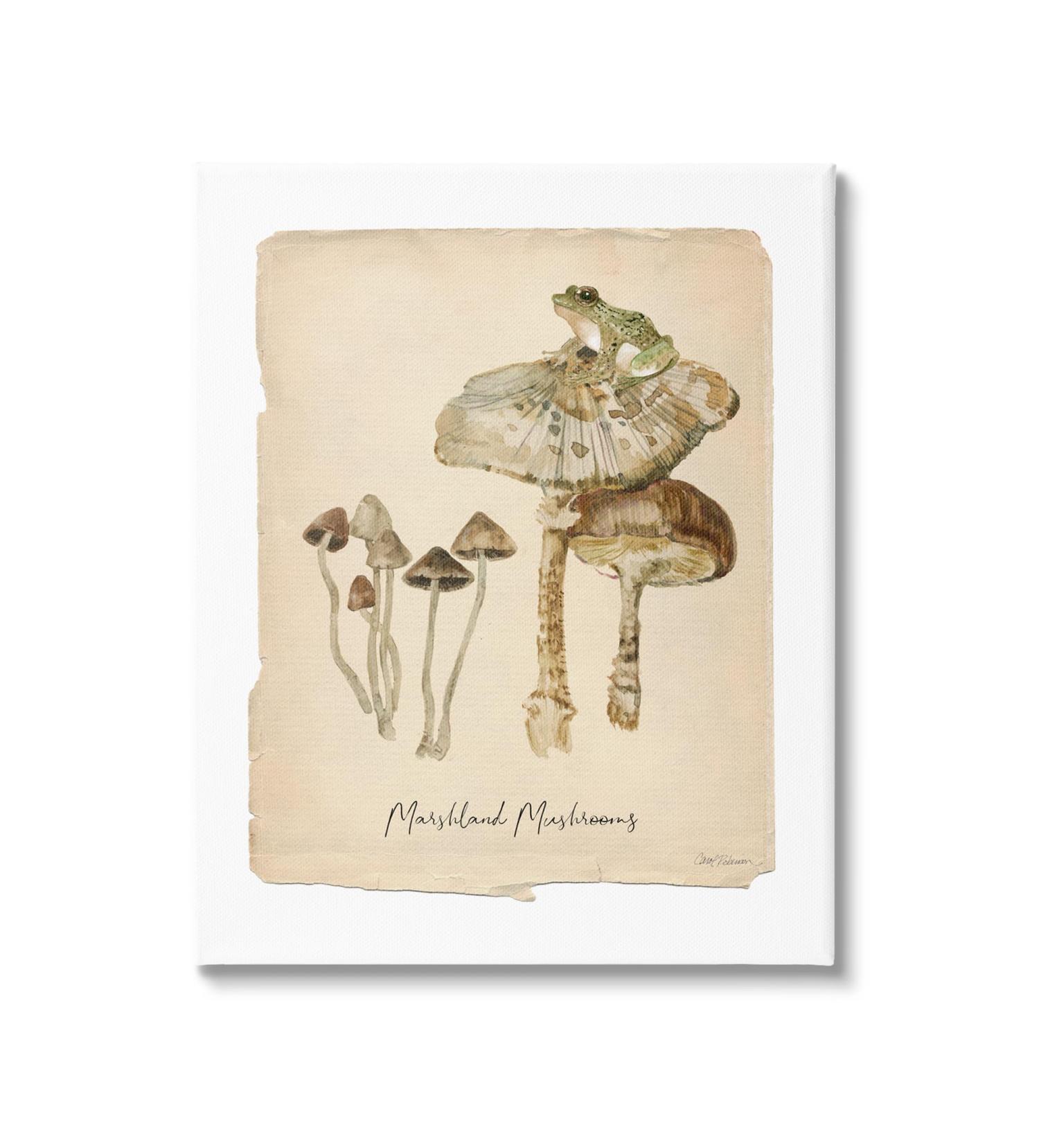 Stupell Industries Marshland Mushrooms & Frog Canvas Wall Art by Carol Robinson 24 x 30 - Buy Online on GoSupps.com