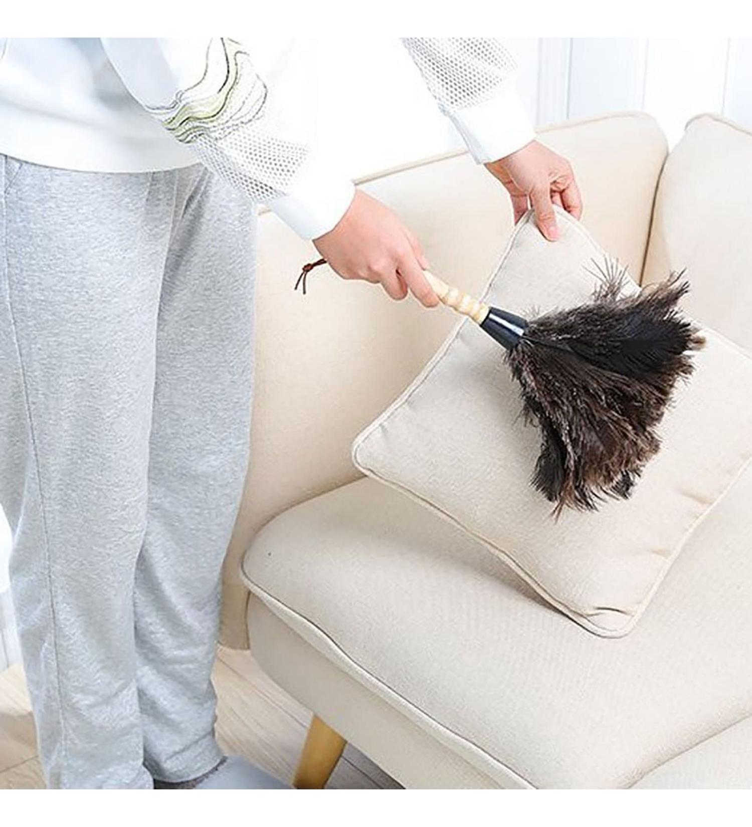 FCSHFC Natural Ostrich Feather Duster 2 Pcs Dusters for Cleaning Soft and Fluffy Duster for Interior Exterior Office Blinds Cleaner Brown - Buy Online on GoSupps.com