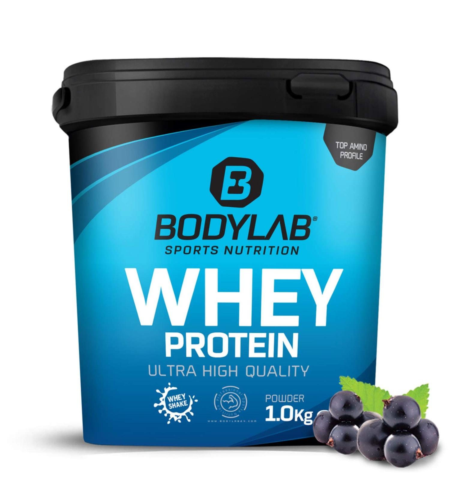 Buy Bodylab24 Whey Protein Powder - Blueberry Flavor 1kg | Premium Quality International Shipping - Buy Online on GoSupps.com