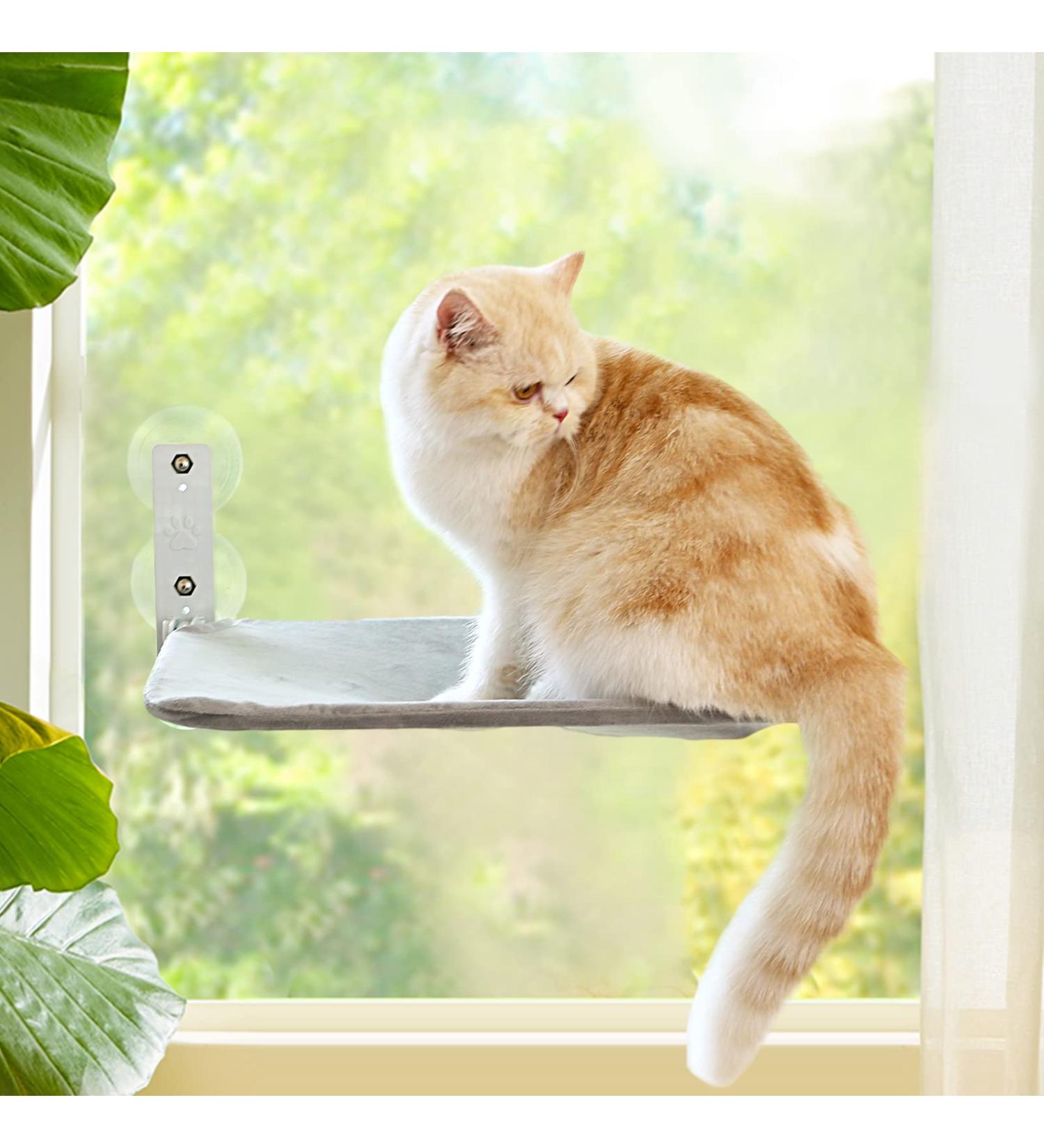 Aepiraza Cat Window Perch - Hammock for Large Indoor Cats - Adjustable, Durable, and Safe Cat Bed for Sunbathing and Napping - Buy Online on GoSupps.com