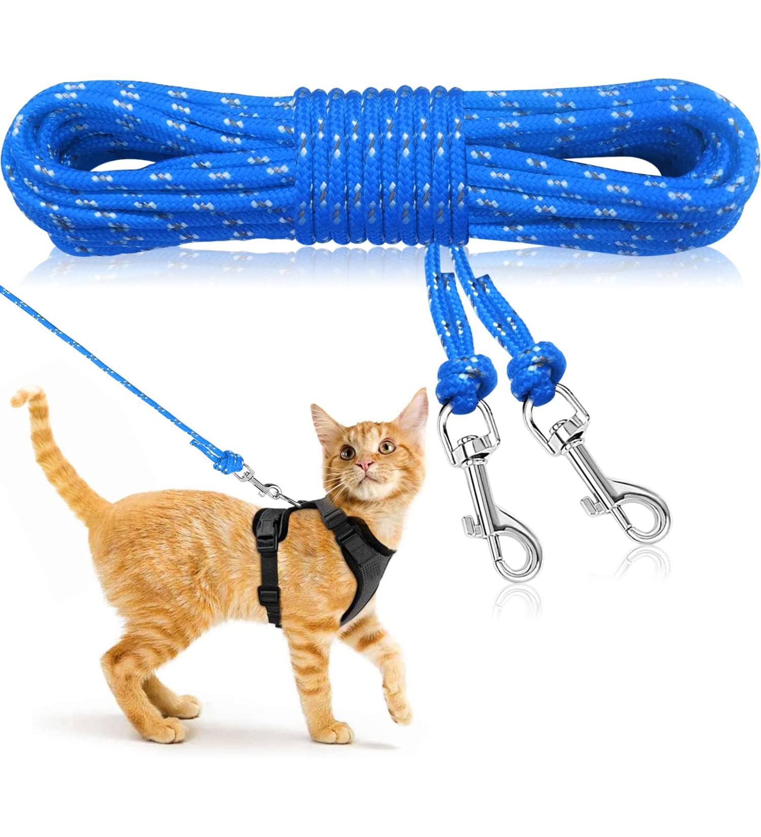 Ranypet 15m Reflecting Long Line for Cats & Small Animals - Durable Safe Disappearing Leash for Kittens Puppies & Rabbits | 50ft Blue - Buy Online on GoSupps.com