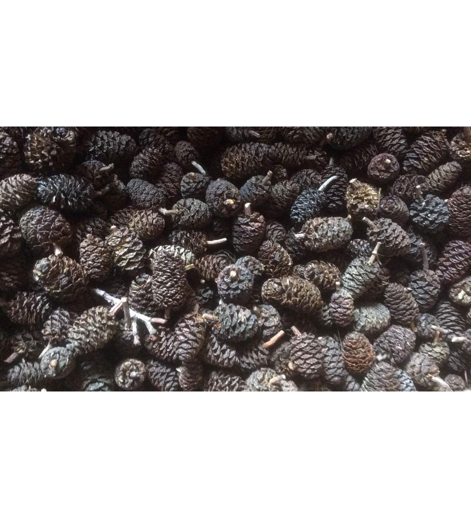 alder cones - alder cones 500 pieces ( 200 grams) healthy water fish and shrimp - Free Shipping