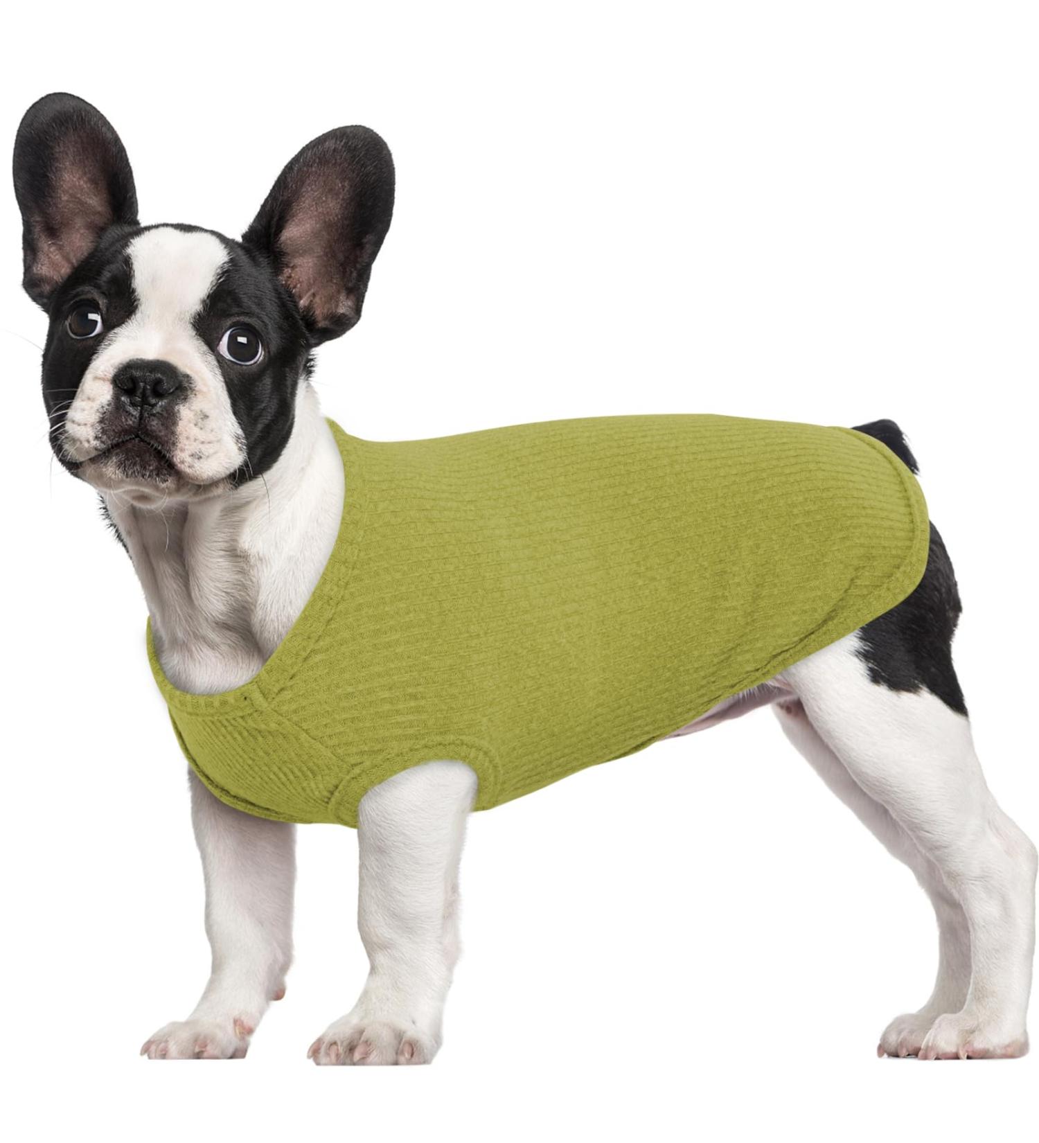 Shop Hjumarayan Thin Dog Sweater for Medium-Sized Dogs | Washable Striped Fleece Shirt for Corgis & Dachshunds - Buy Online on GoSupps.com