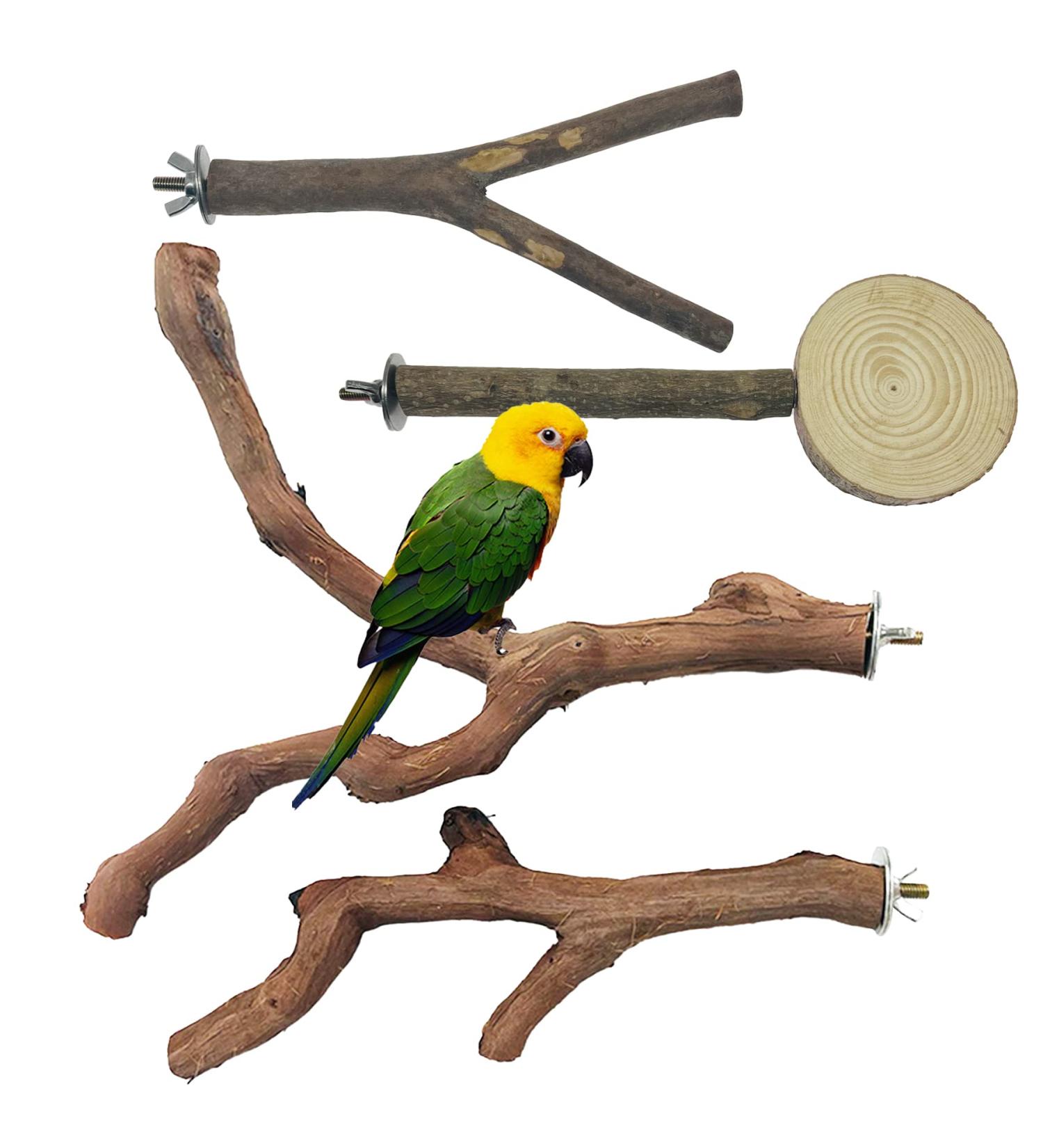 Allazon Bird Toys - 4 Natural Wood Perches & Swing Sets for Parrots | Durable & Safe Bird Accessories - Buy Online on GoSupps.com