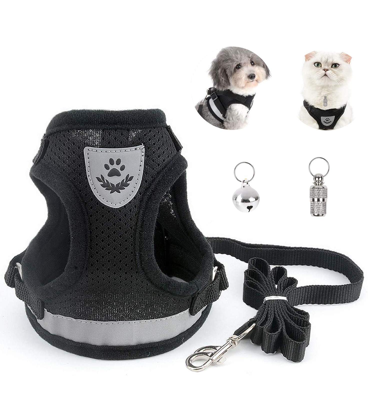 Buy Bojly Cat Dishes with Leash | Outbreak-Proof Safety Harness & Anti-Lost Bell for Dogs & Cats - Buy Online on GoSupps.com