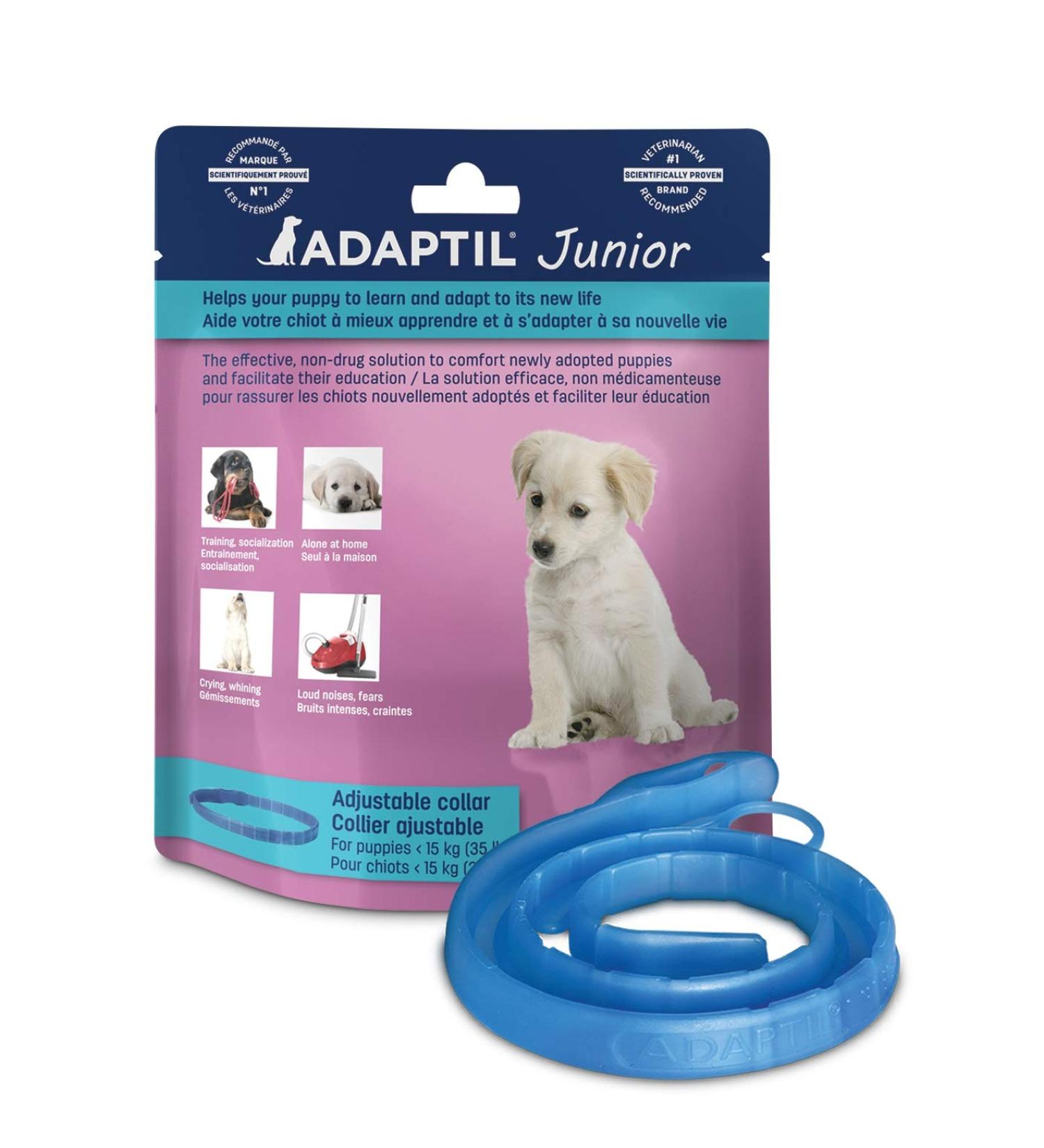 ADAPTIL Junior Calming Collar for Puppies - Reduce Crying & Whining and Improve Focus & Learning Dog Appeasing Pheromone Collar - (Puppy Calming Collar 1 Month Single Pack) - Buy Online on GoSupps.com