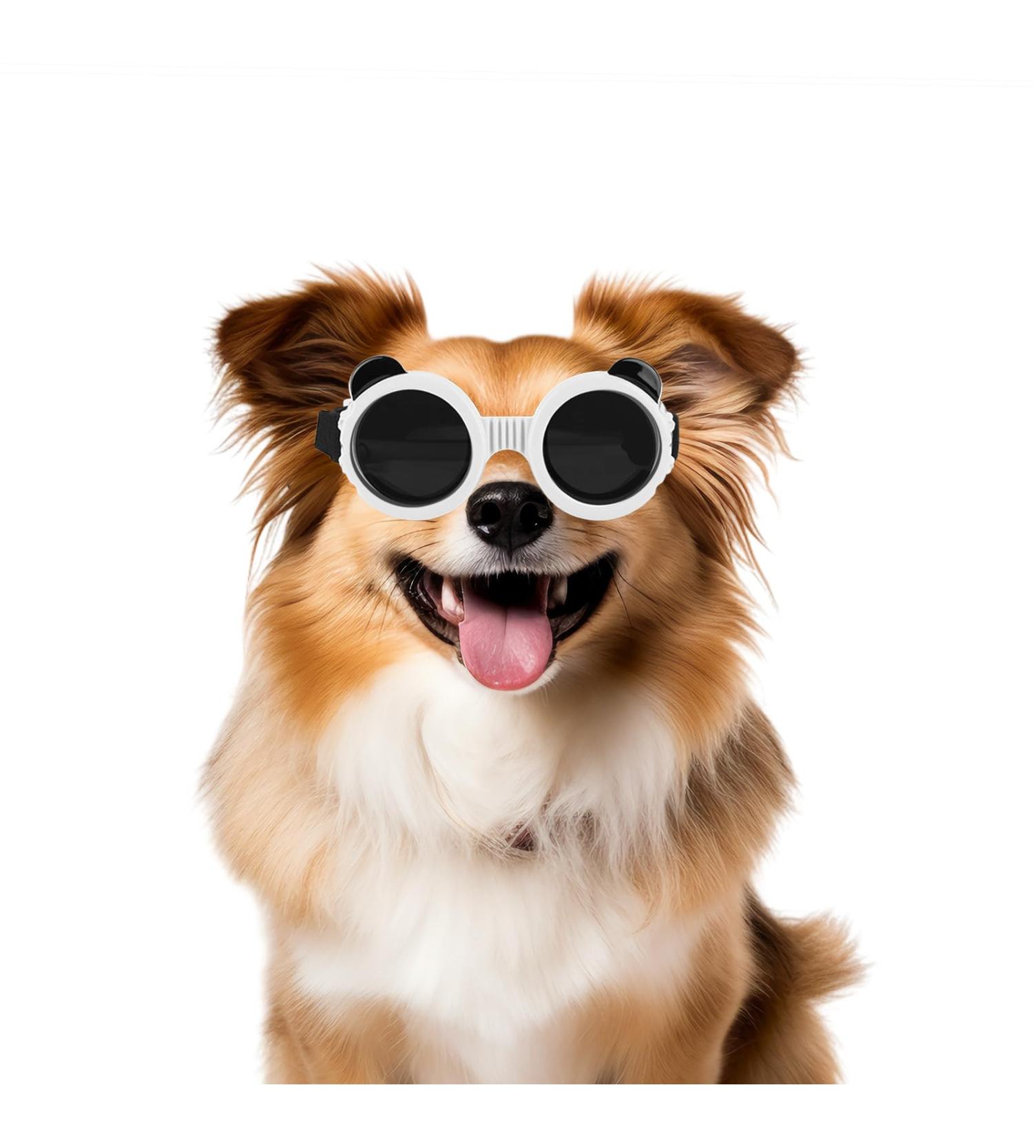 Shop Panda Style UV Glasses for Small Dogs | Eye Protection & Comfort | Windproof & Anti-Fitting Cat Glasses - Buy Online on GoSupps.com