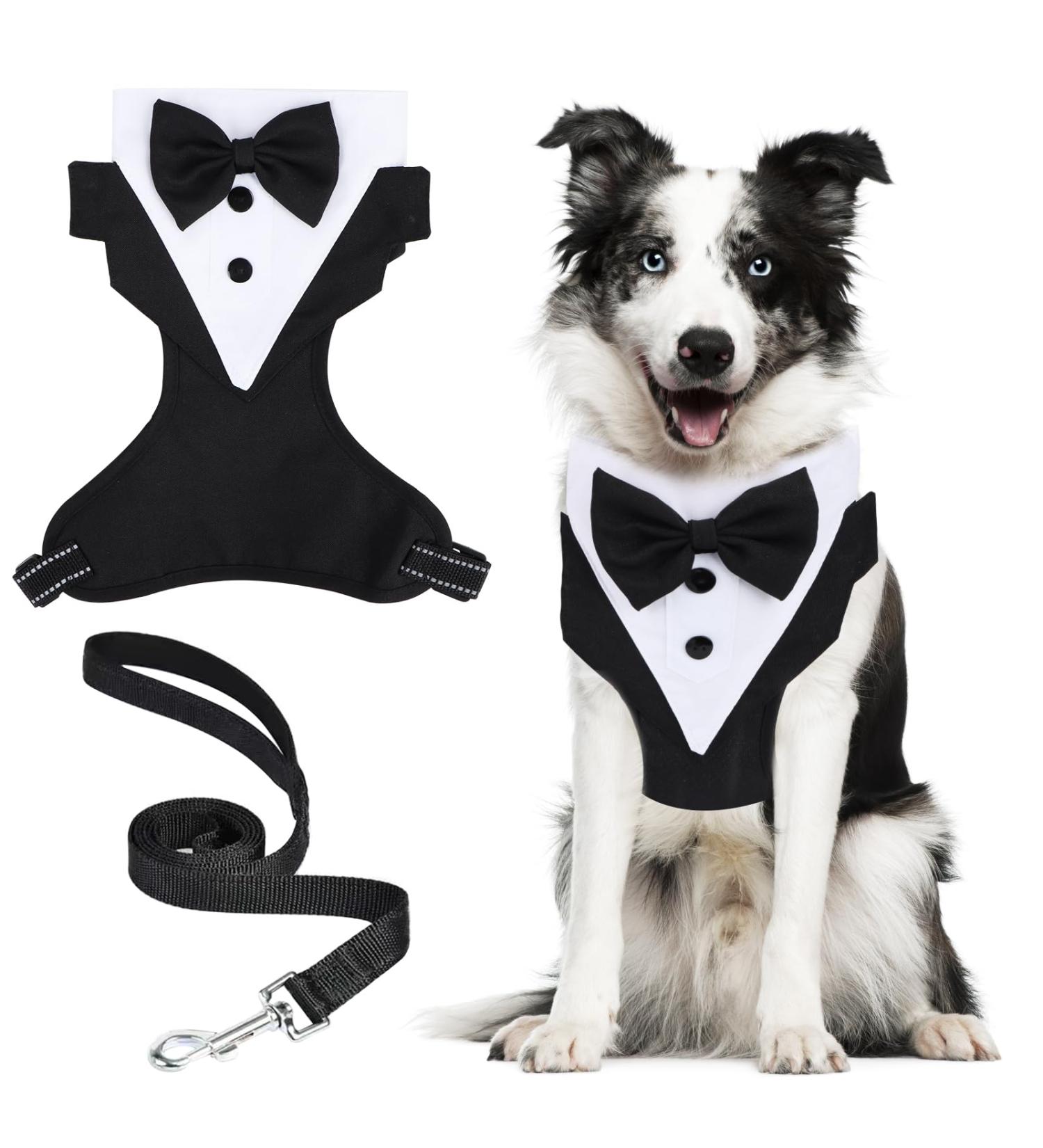 Dog Smoking Bandana Collar & Leash - Adjustable Tuxedo Headscarf for Small to Medium Dogs | Formal Wedding Party Attire - Buy Online on GoSupps.com