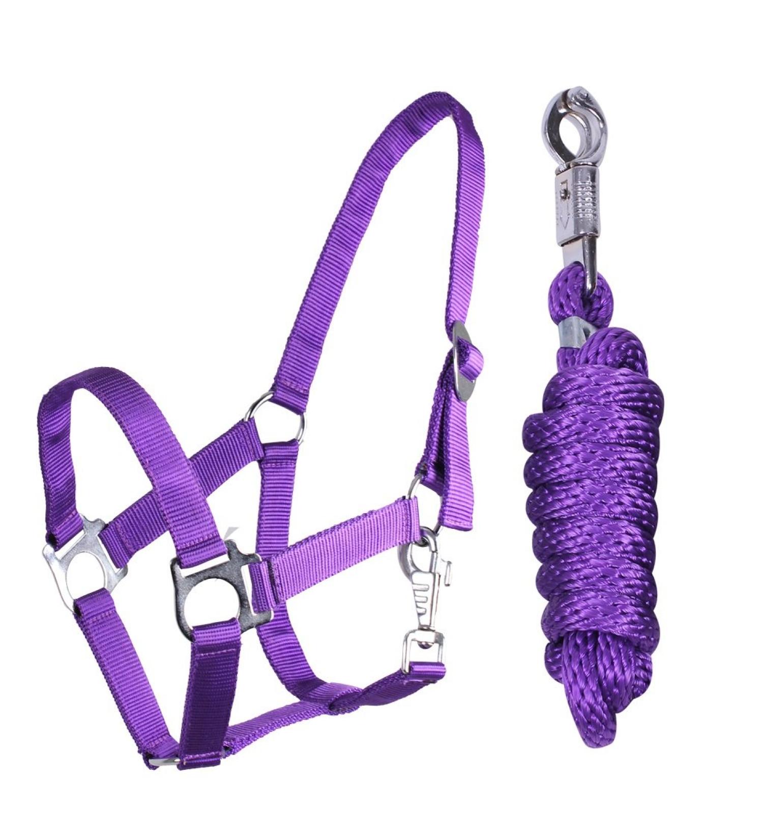 QHP Halter Set Beginner II Halter + Lead Rope with Panic Hook Adjustable (Shetty Passion Flower) Shetty Passion Flower