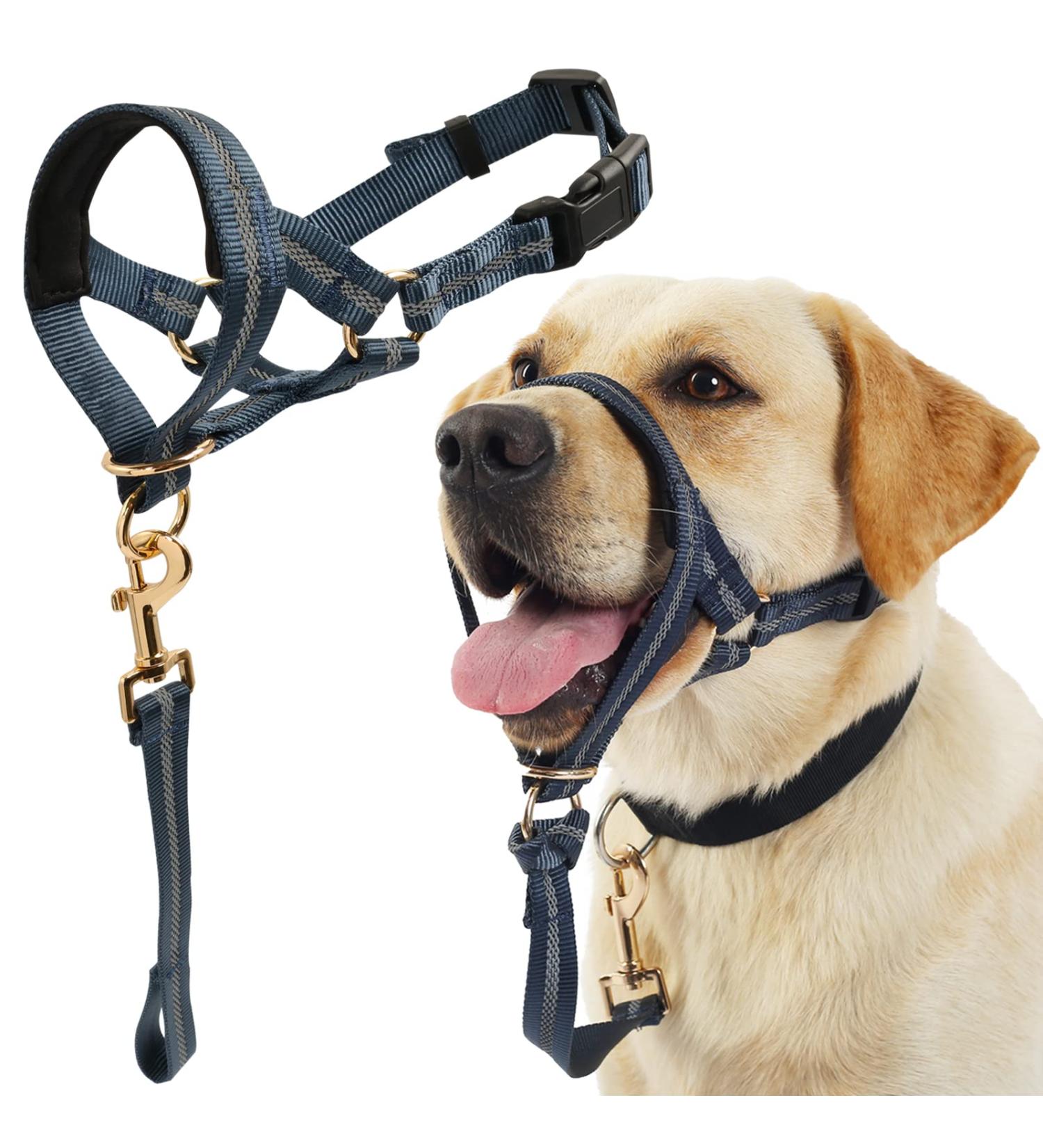 Barkeless Dog Handlebars | No Pull Reflective Training Device for Medium & Large Dogs - Training Instructions Included (S Slate Gray) - Buy Online on GoSupps.com