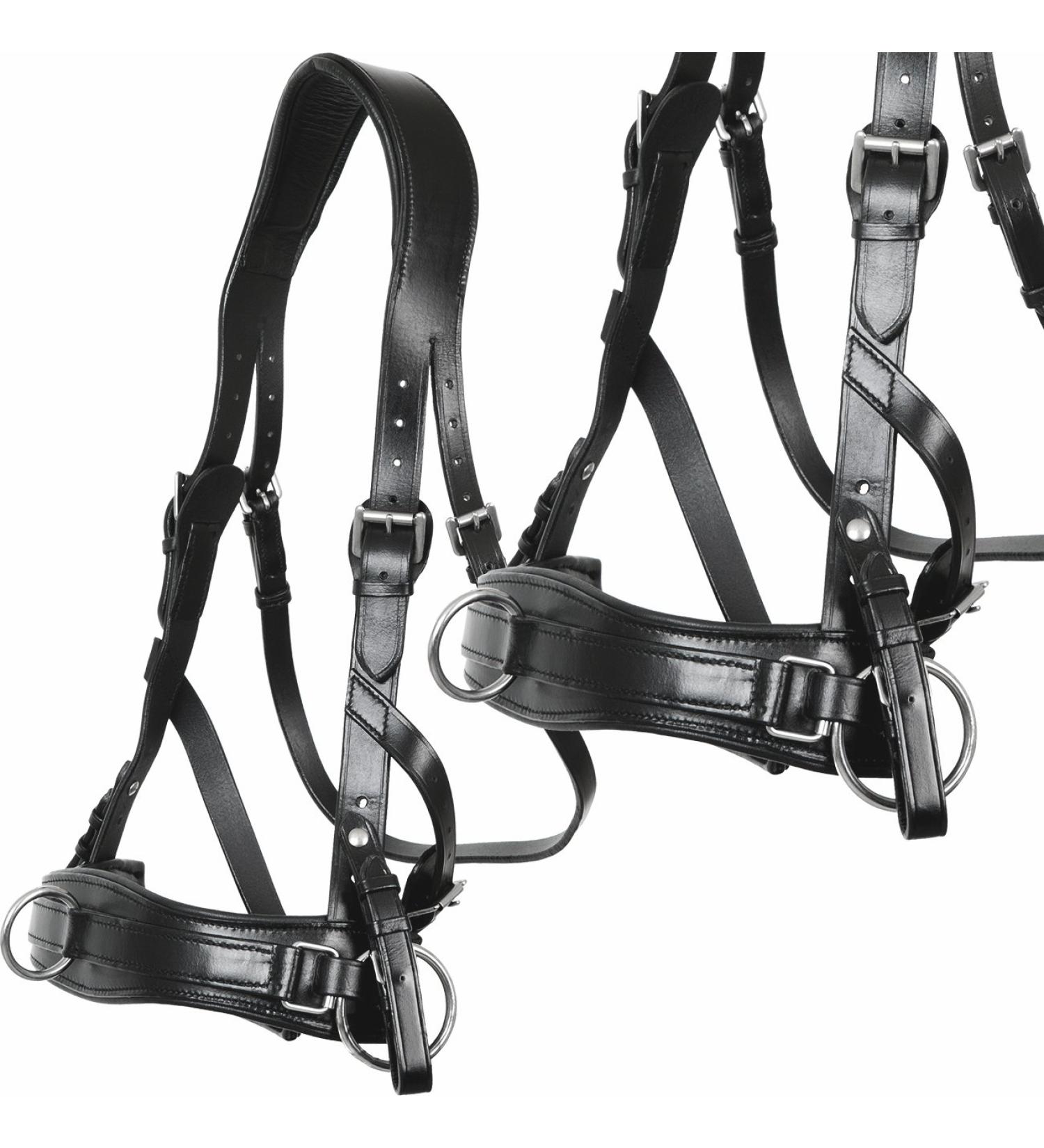 Heinick-Reitsport Professional Leather Cavesson with Bit Strap - ProLine Black for Warmblood/Thoroughbred | International Shipping Available - Buy Online on GoSupps.com