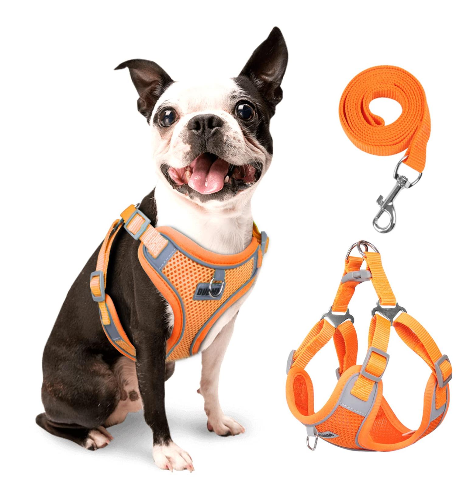 Rennaio No Pull Dog Harness & Leash Set - Adjustable Breathable Padded for Small & Medium Dogs - Pumpkin Color (M) - Buy Online on GoSupps.com