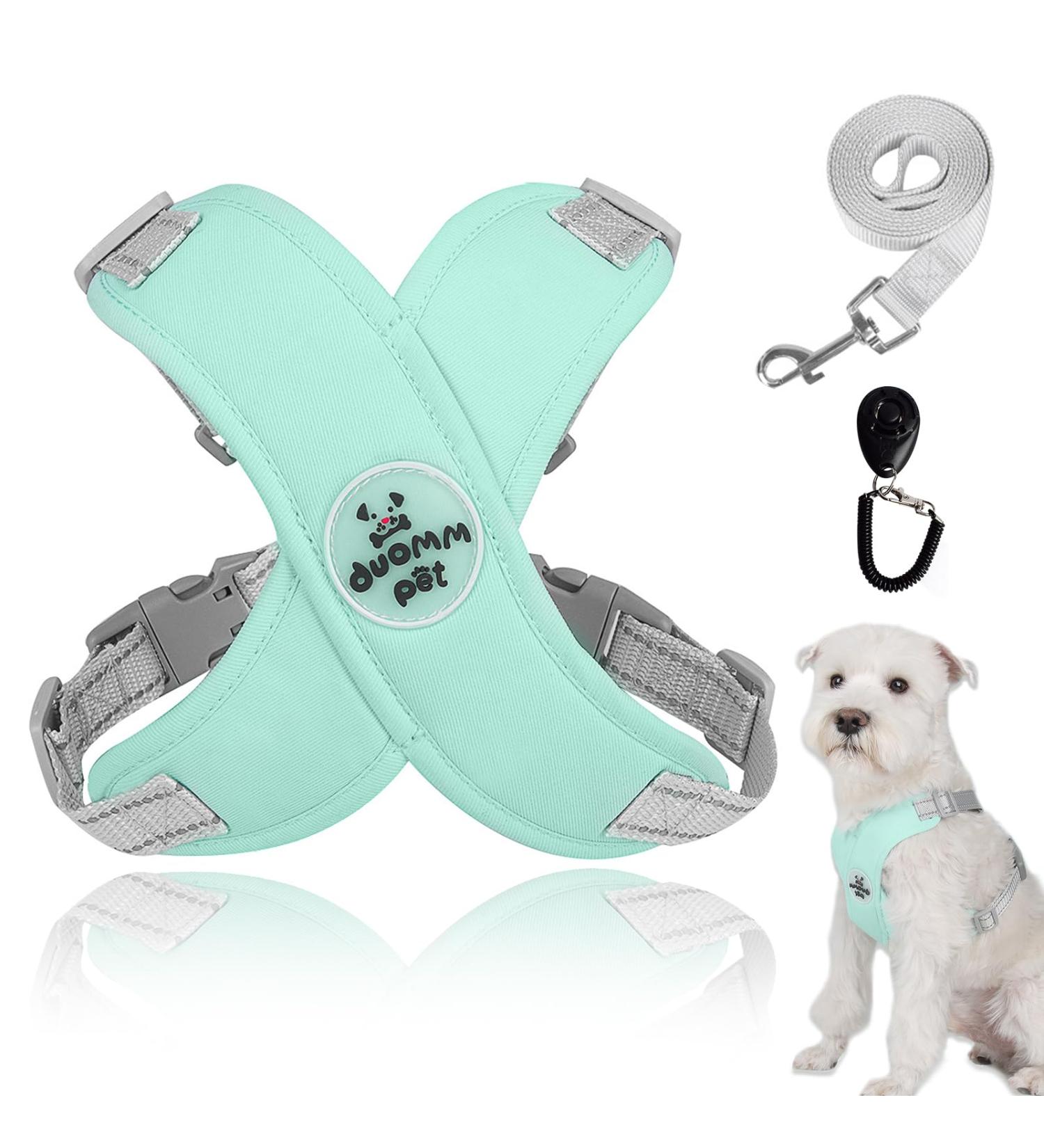 Dog Harness for Small Dogs | No Pull Safety Chest Harness | Reflective Soft Dog Leash for Small & Medium Dogs (Green) - Buy Online on GoSupps.com