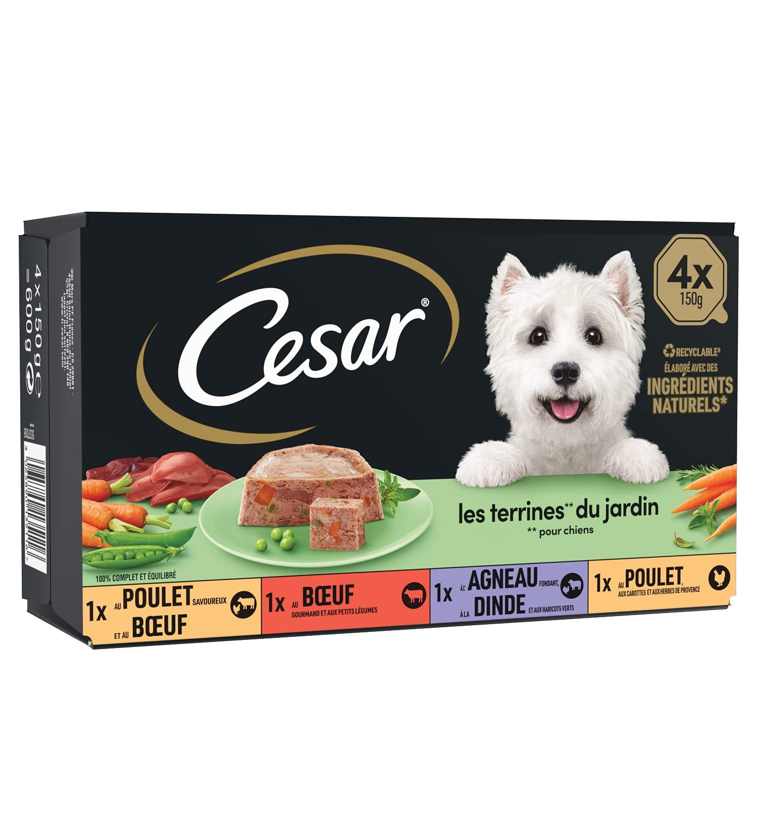 CESAR Dog Meals - Pack of 24 150g trays - Dog Pate in Garden Terrine (4 varieties) - Wet Food for Dogs Made with Natural Ingredients - Buy Online on GoSupps.com