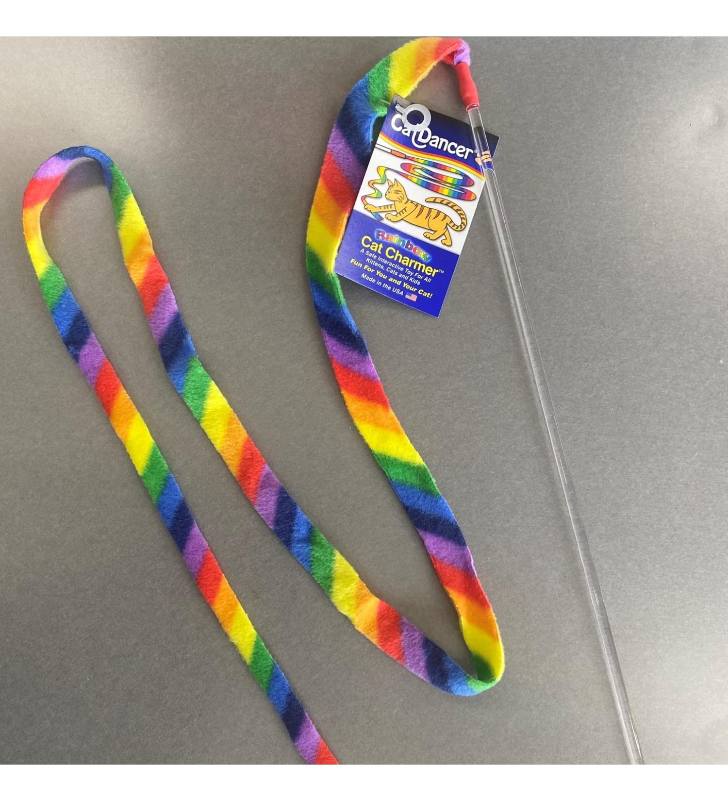 Rainbow Cat Charmer - Durable and Safe Toy for Cats | 1 Count - Buy Online on GoSupps.com