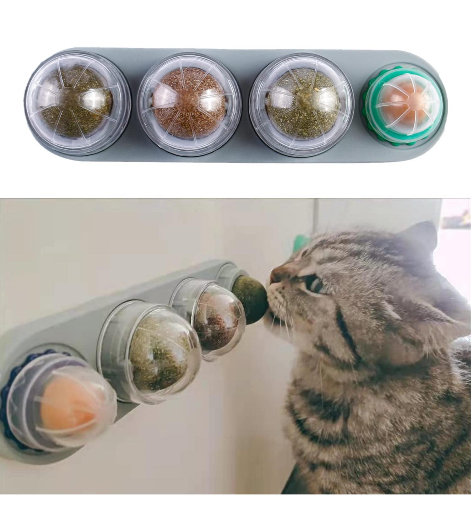 Bisogoon Catnip Wall Ball Toy - Natural Interactive Licking Treats for Cats - Edible Balls - Kitty Catnip Wall Toy (Blue) - Buy Online on GoSupps.com